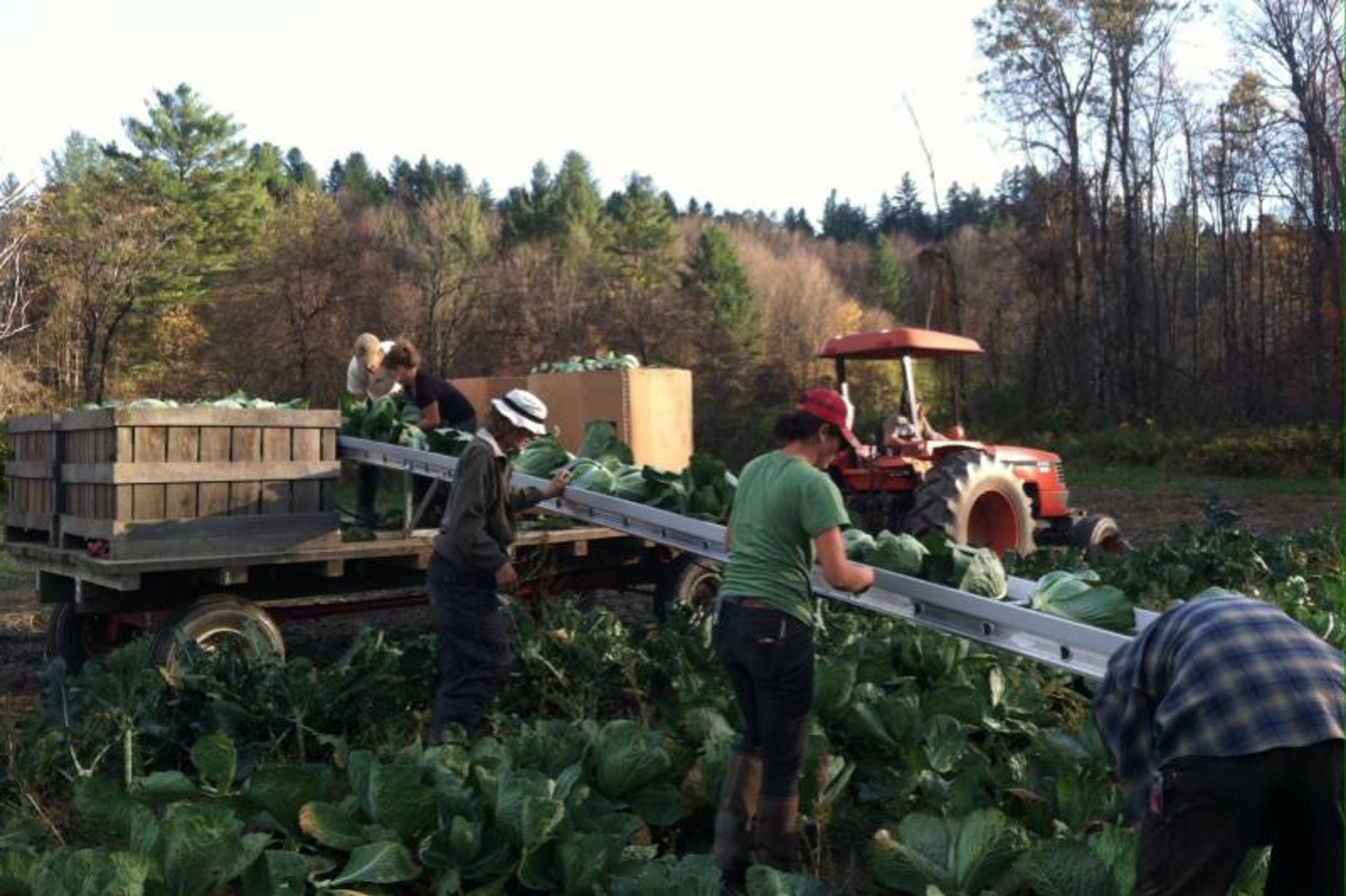 Image from Farm to People
