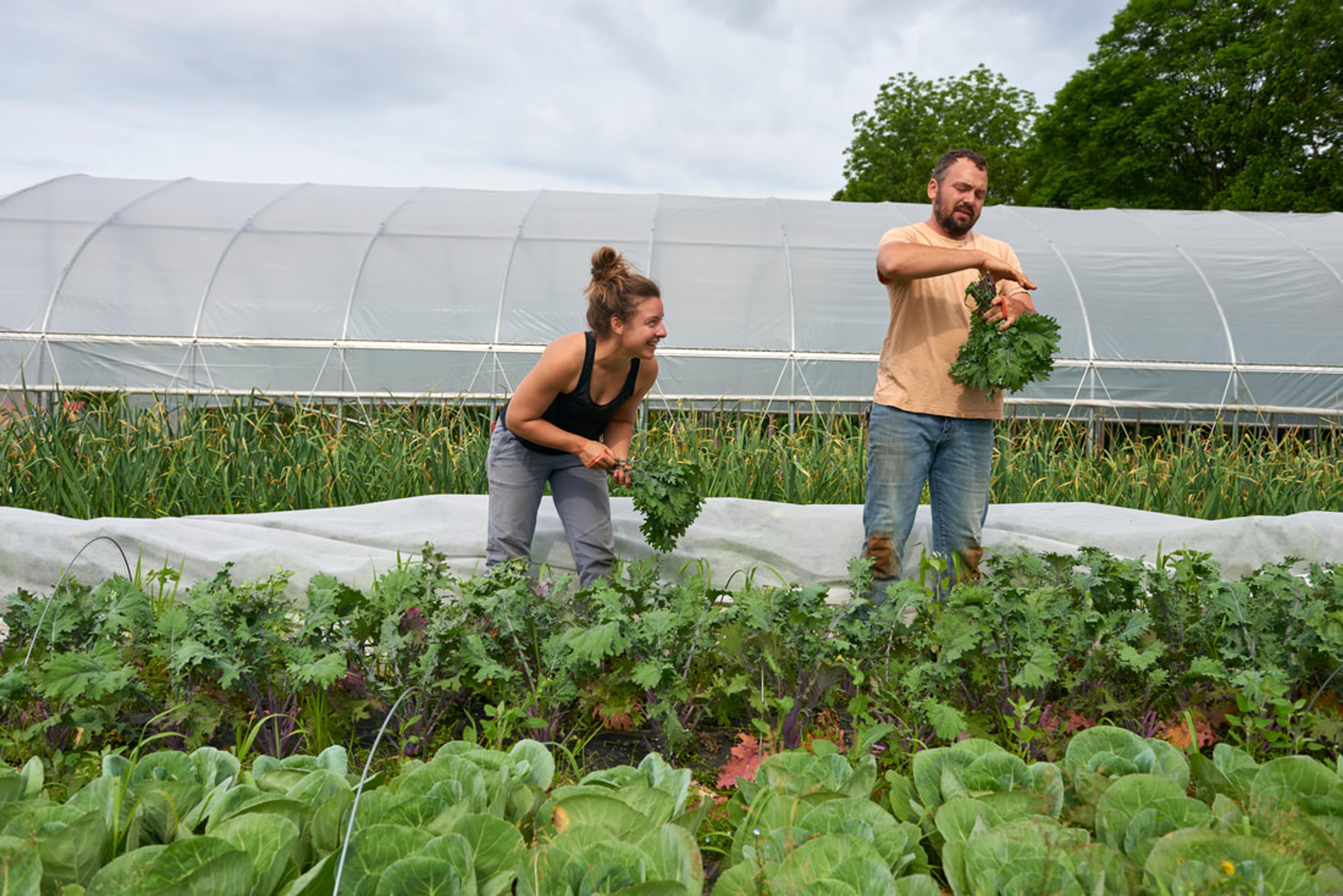 Image from Farm to People