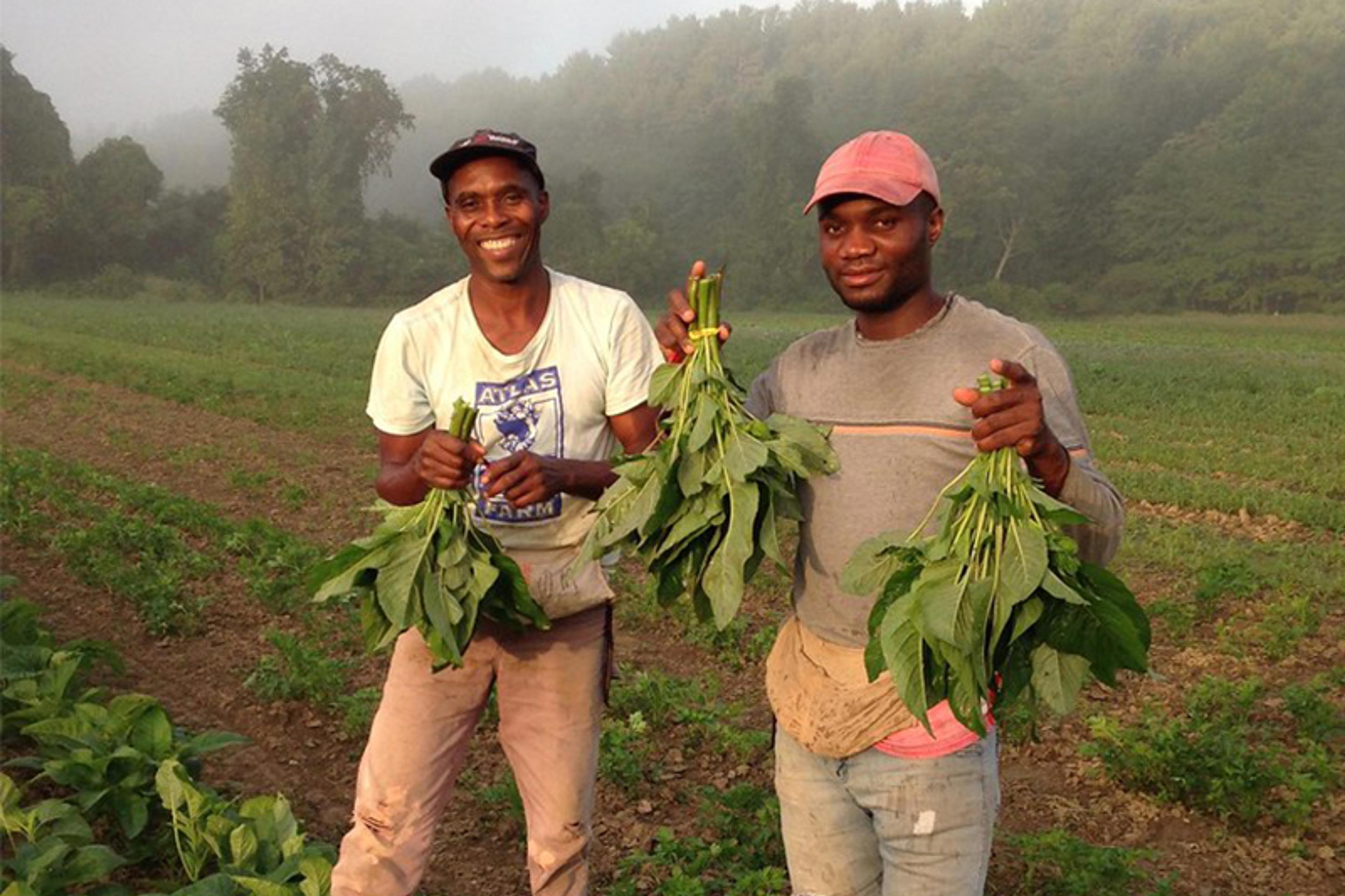 Image from Farm to People