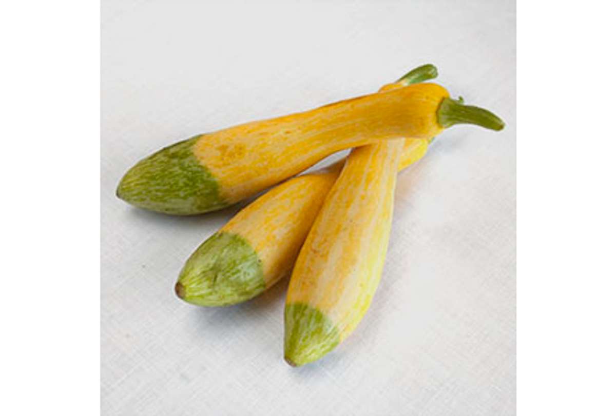 Buy Zephyr Squash For Delivery Near You Farm To People