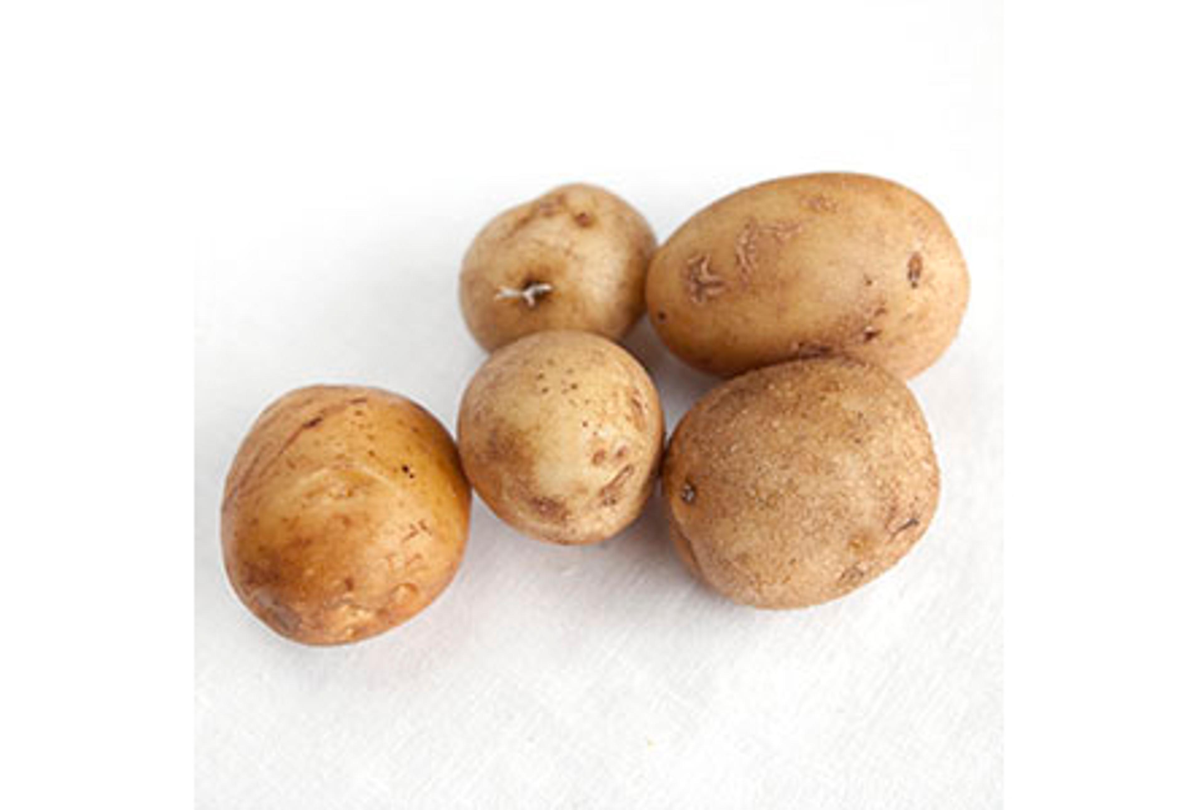 Image from Farm to People
