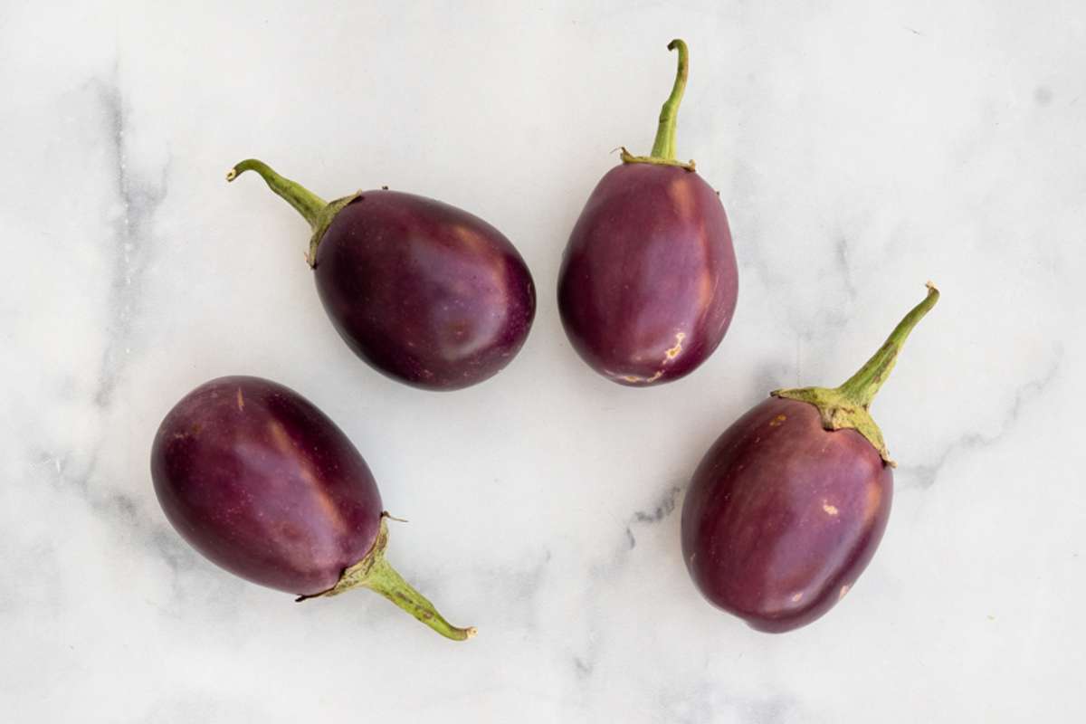 Buy Baby Black Beauty Eggplants For Delivery Near You Farm To People
