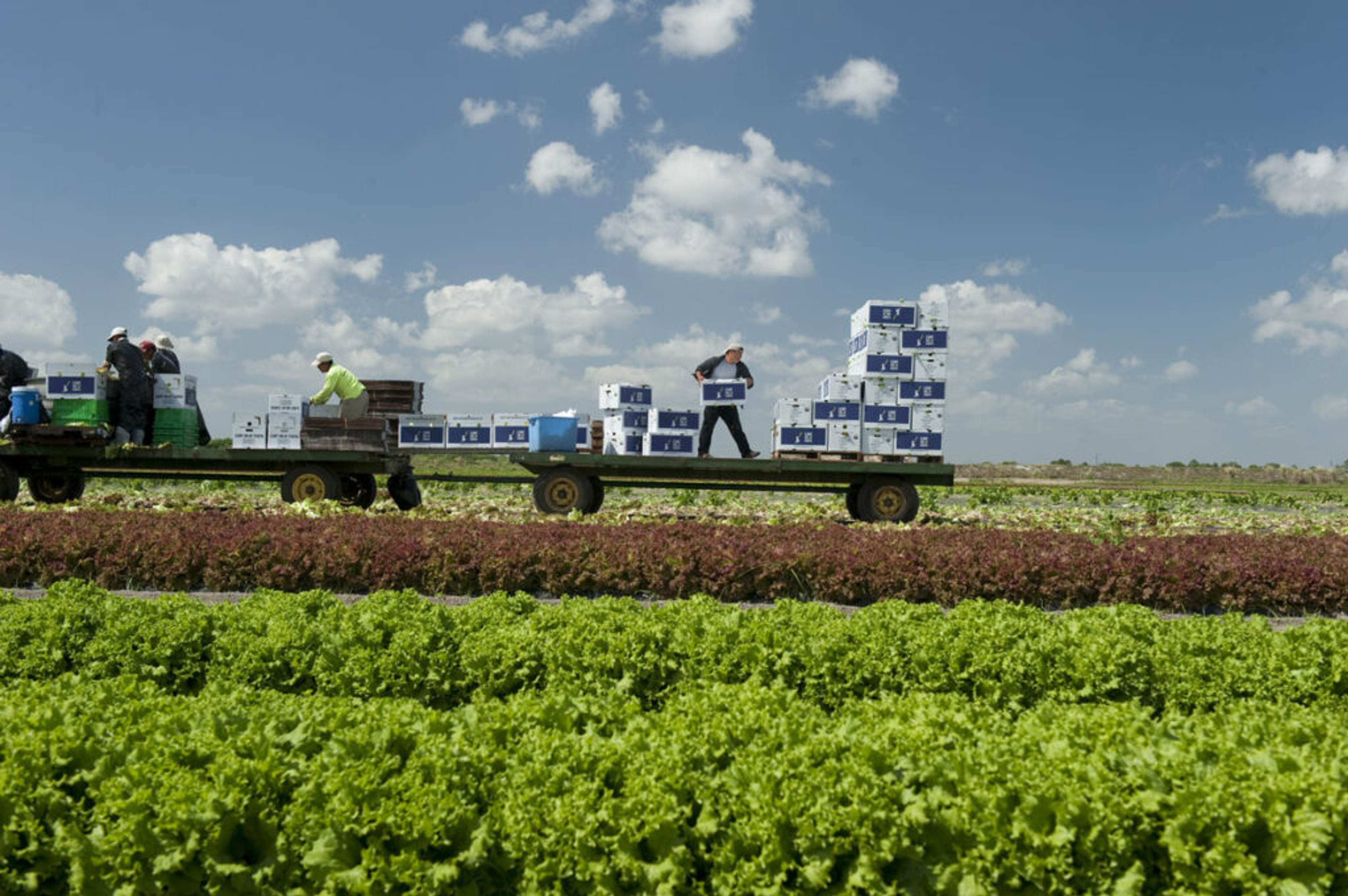 Image from Farm to People