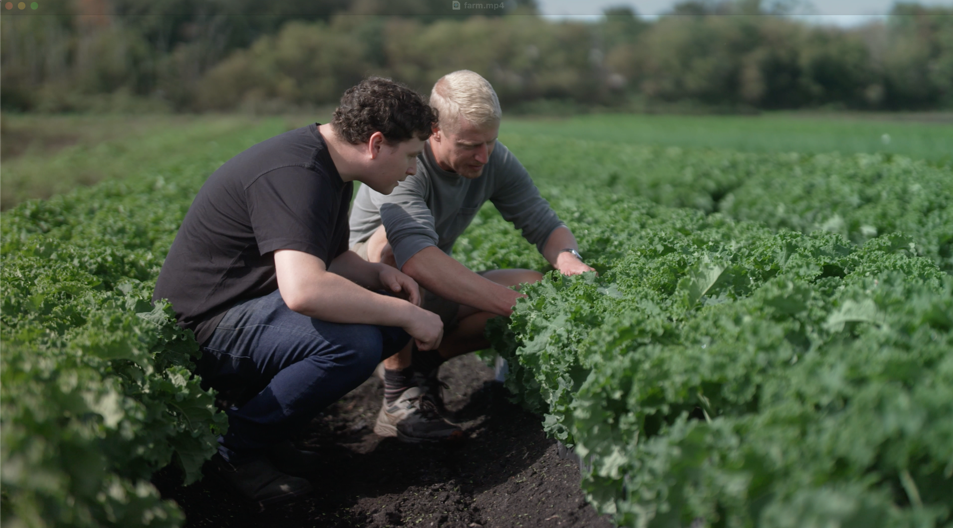 Image from Farm to People