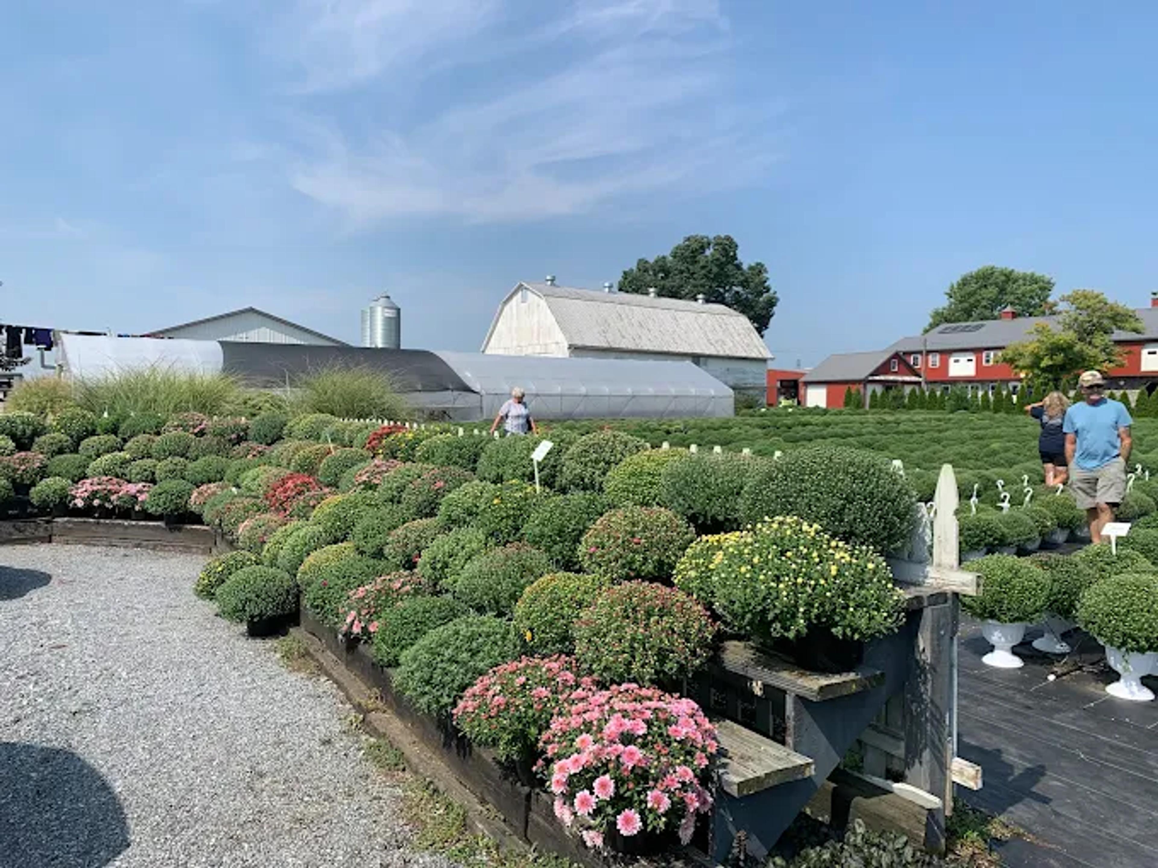Image from Farm to People