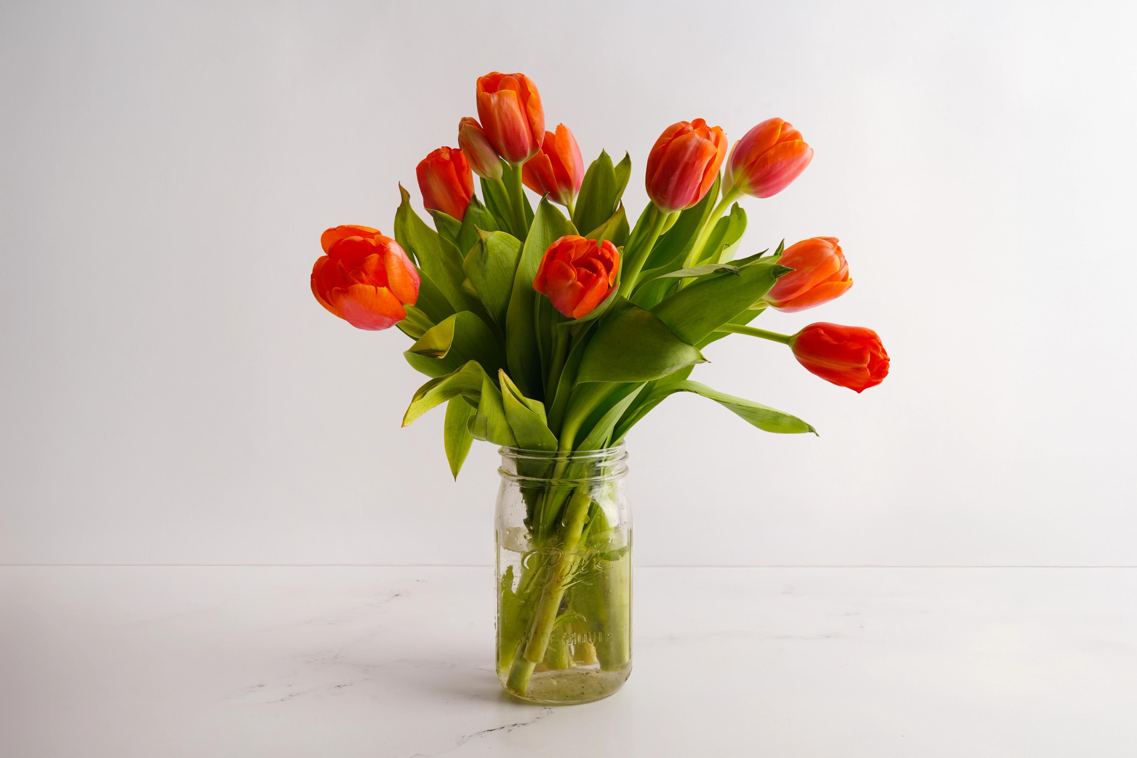 Image from Farm to People