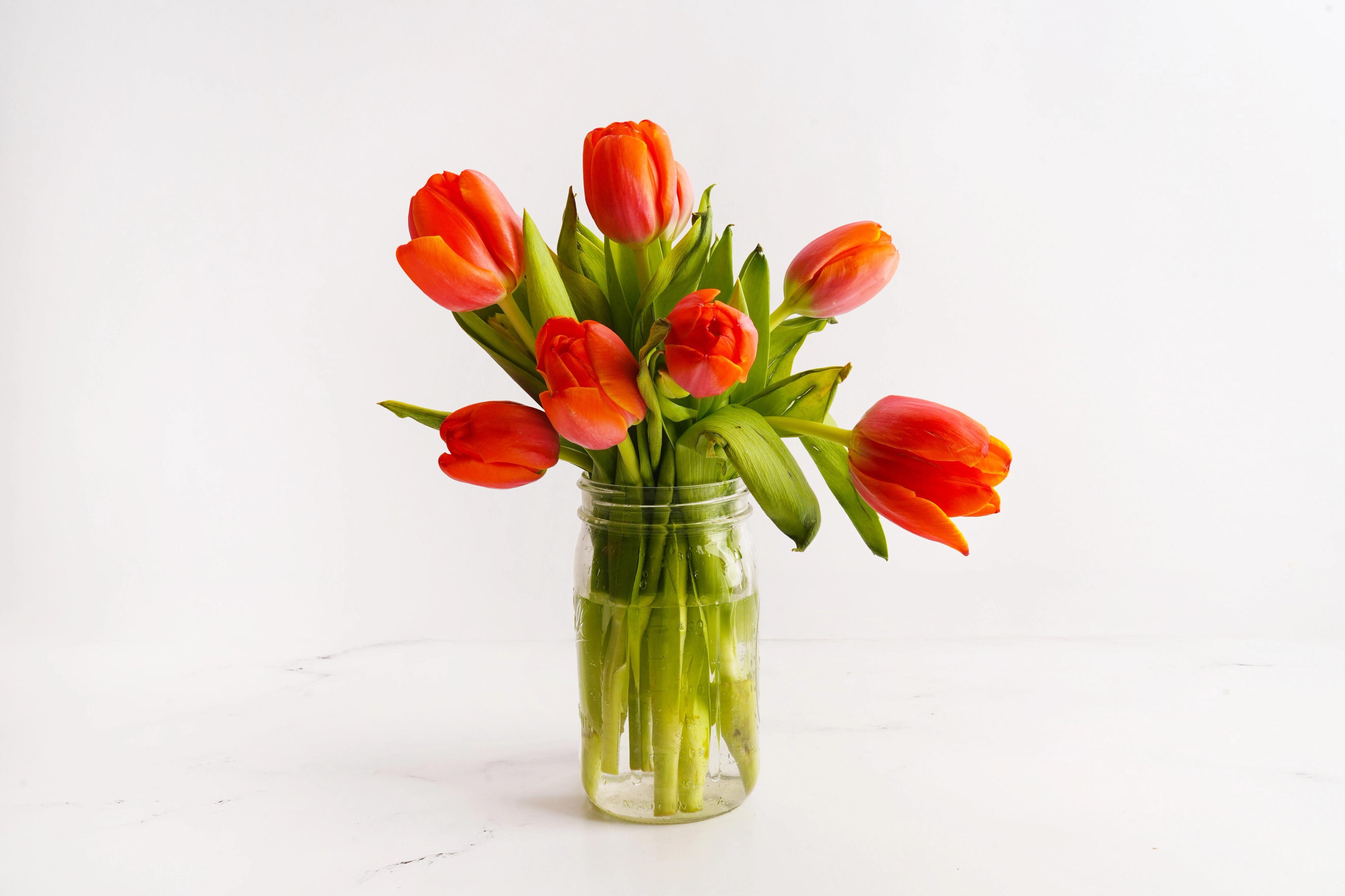 Image from Farm to People