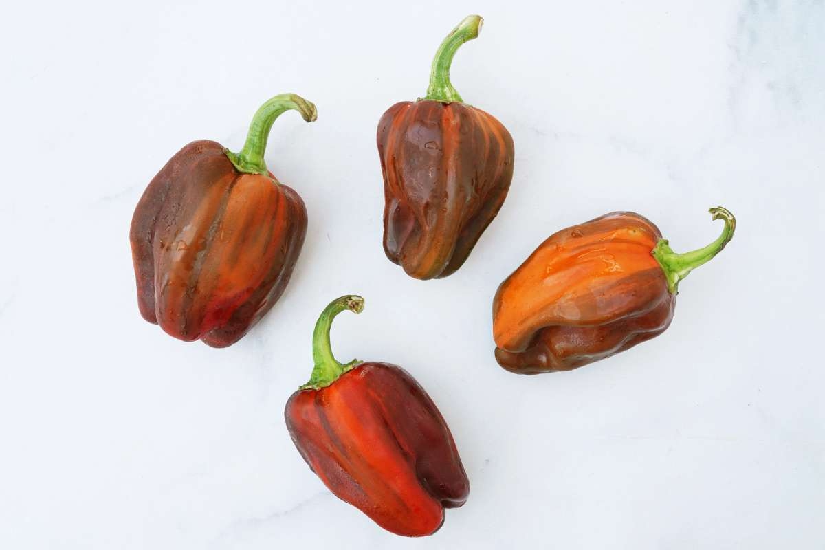 Buy Candy Cane Chocolate Cherry Peppers For Delivery Near You