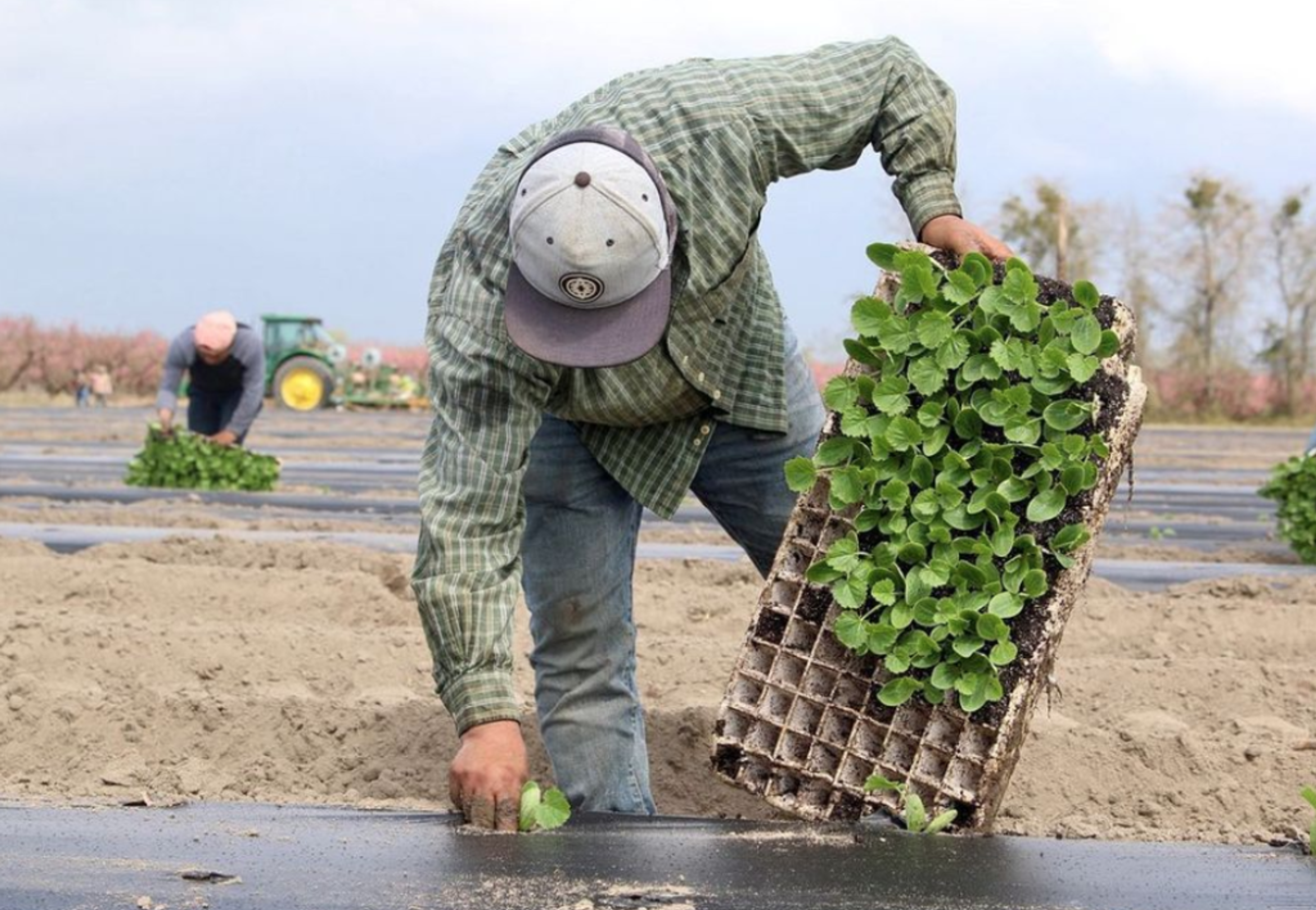 Image from Farm to People