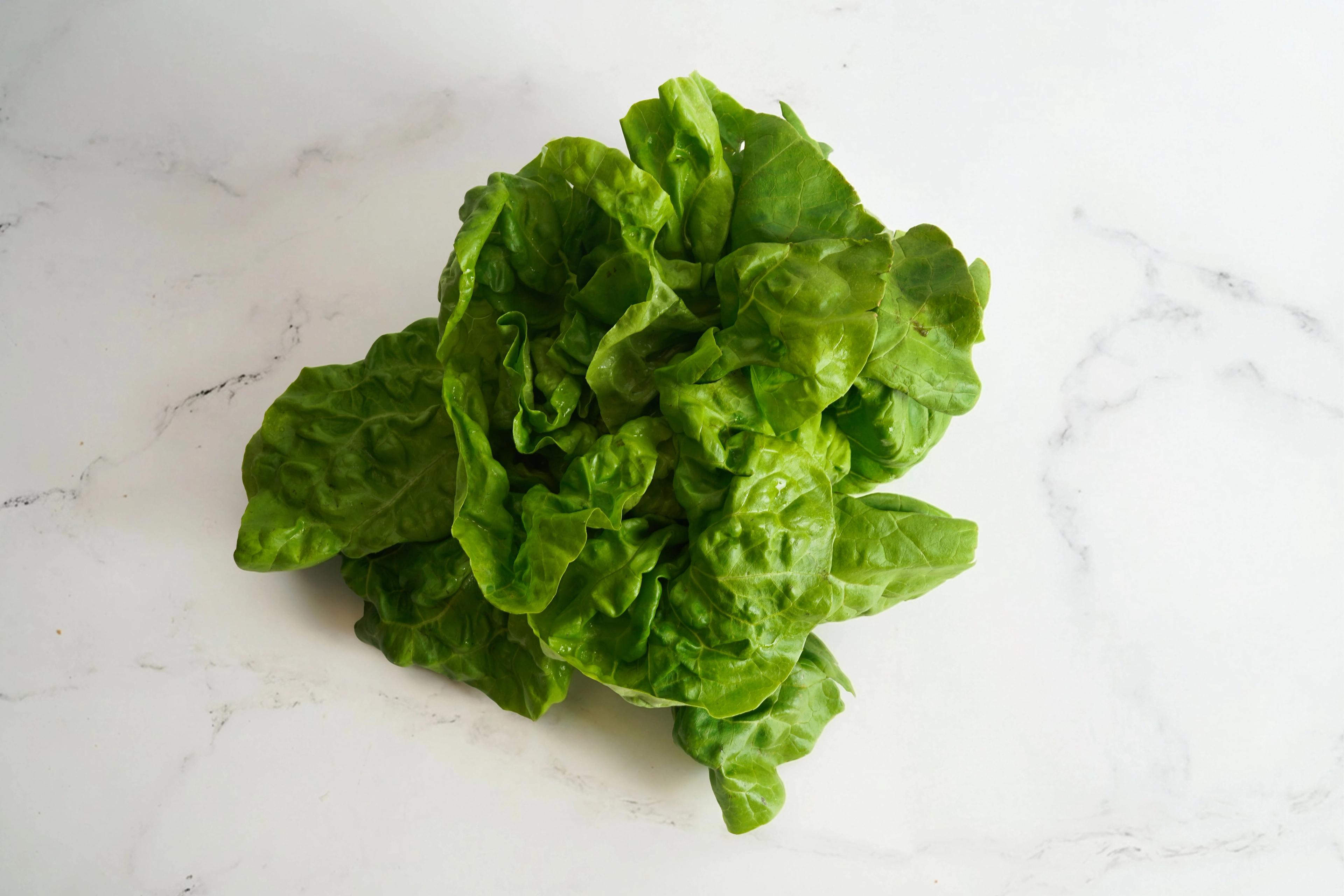 Image from Farm to People