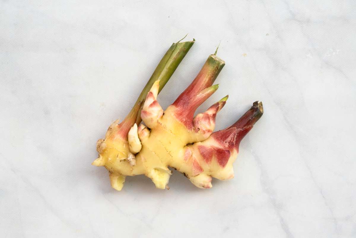 Buy Fresh Ginger For Delivery Near You Farm To People