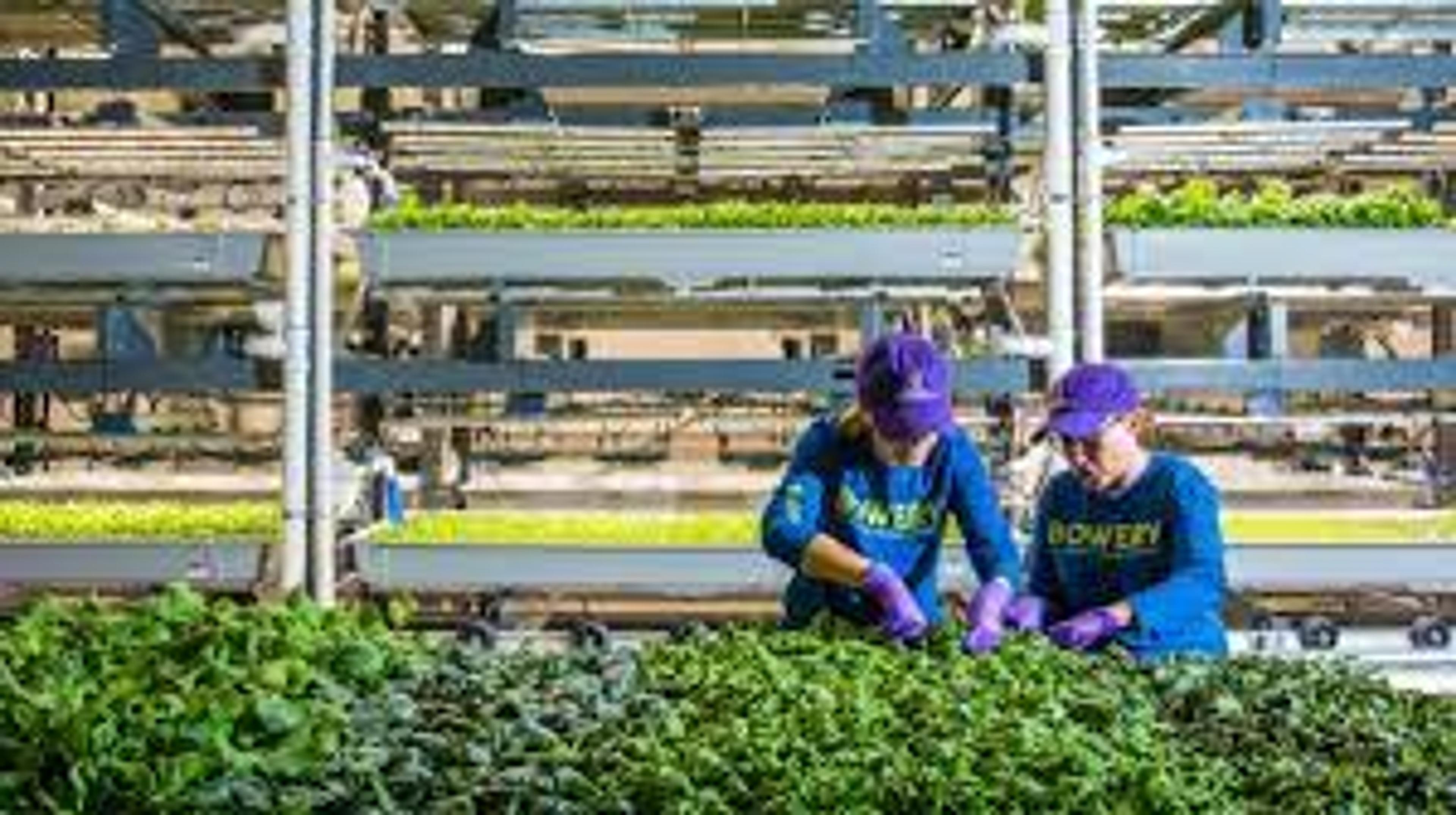 Image from Farm to People