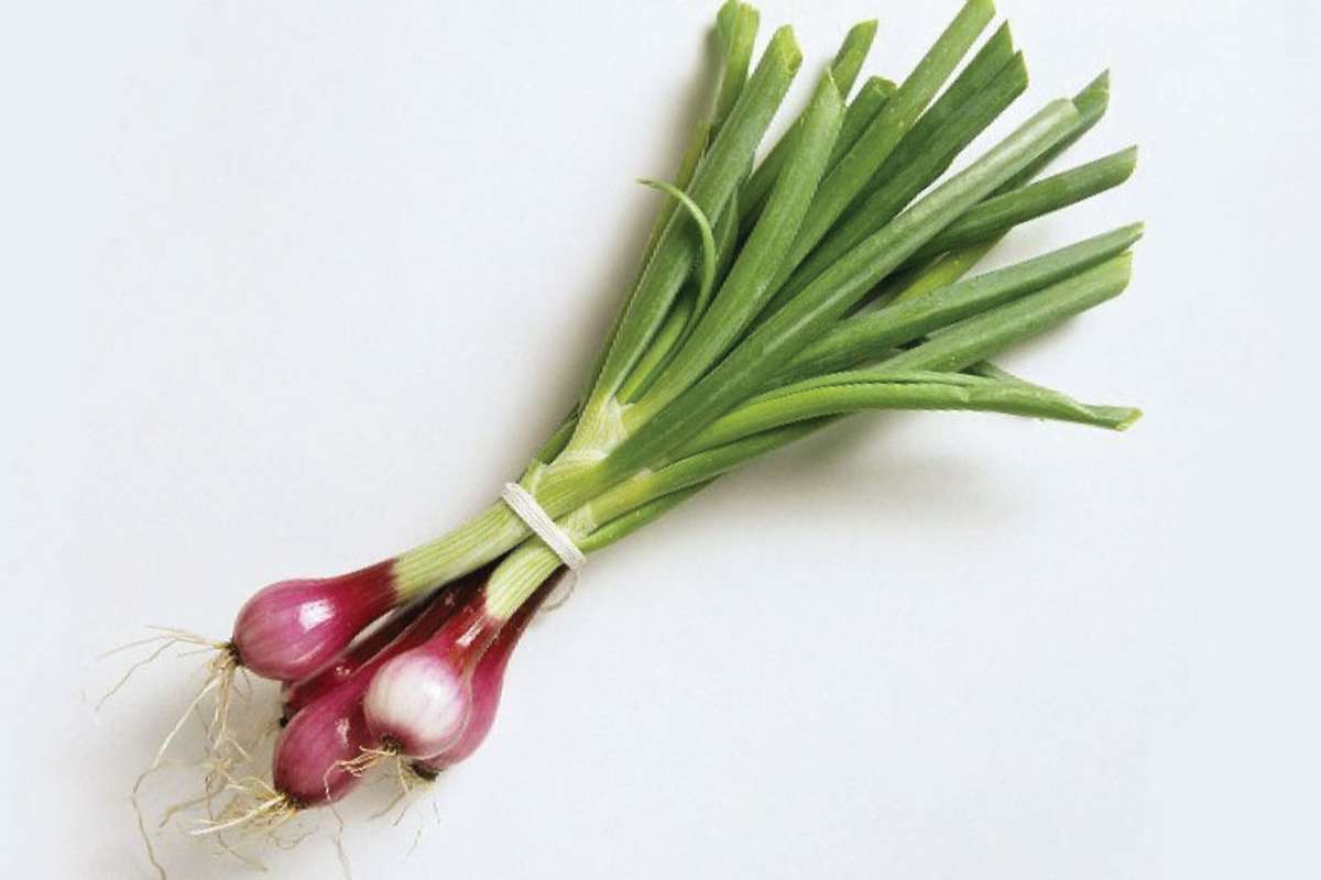 Harvest Fresh Red Pearl Onion (284 g), Delivery Near You