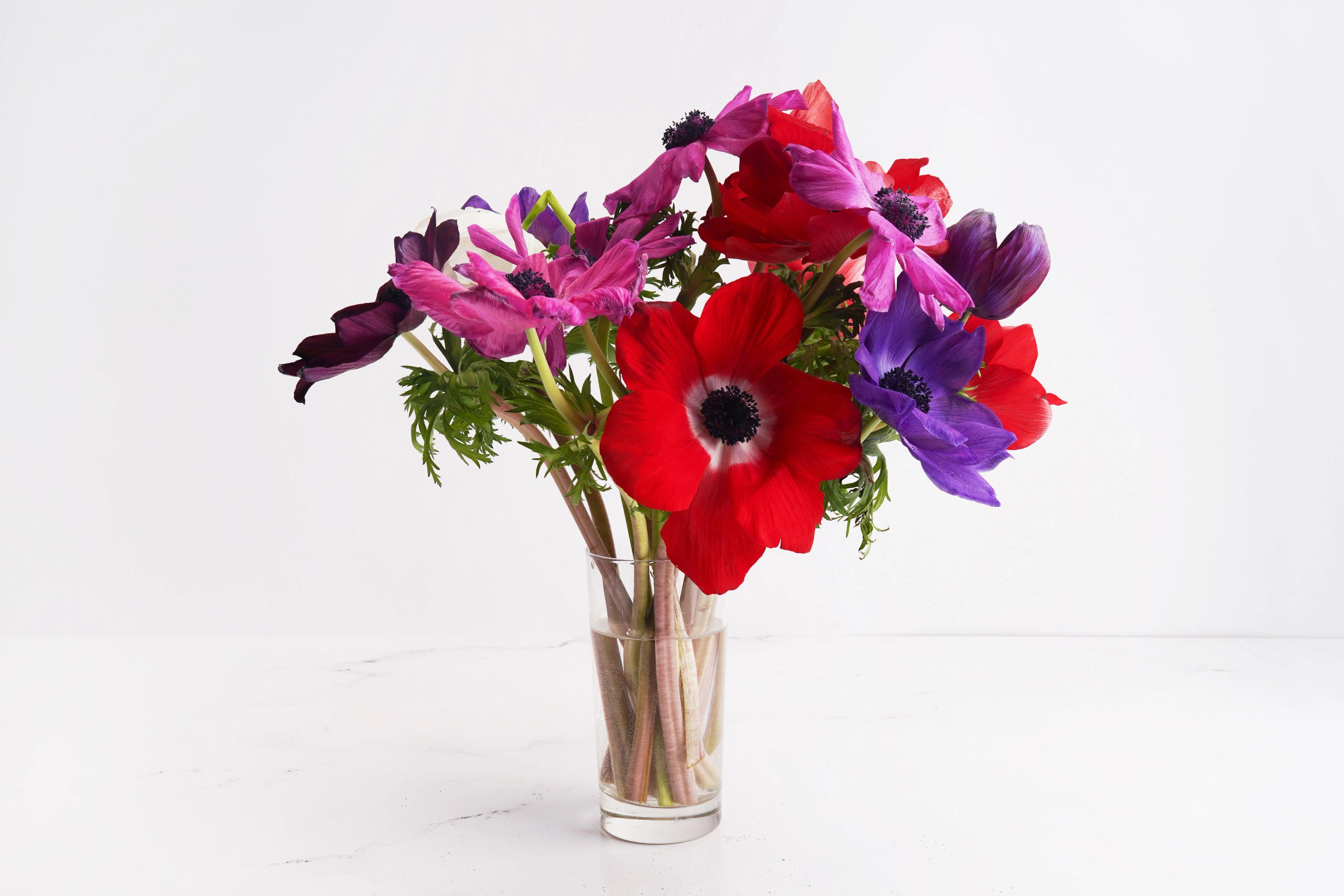 Image from Farm to People