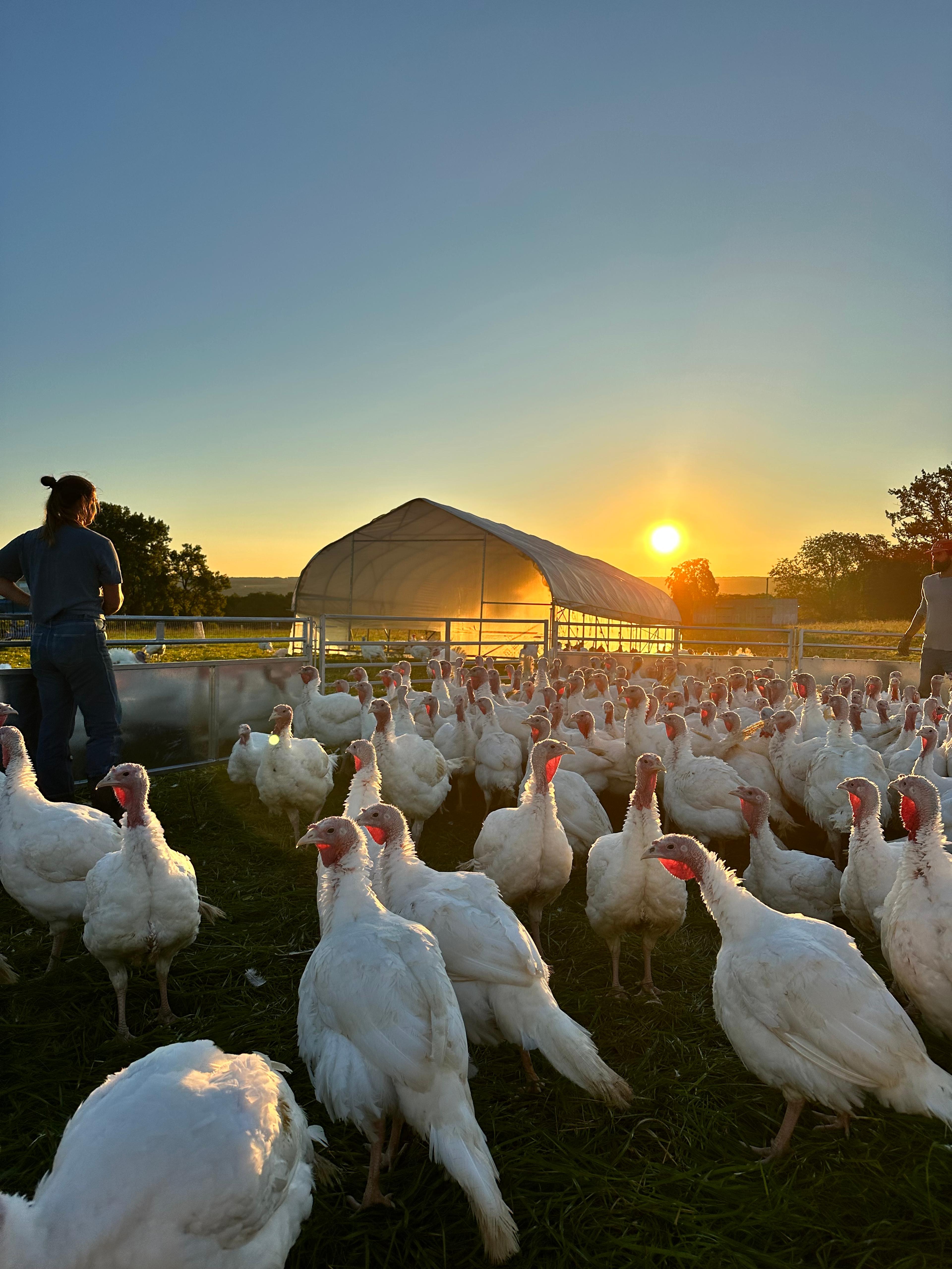 Image from Farm to People