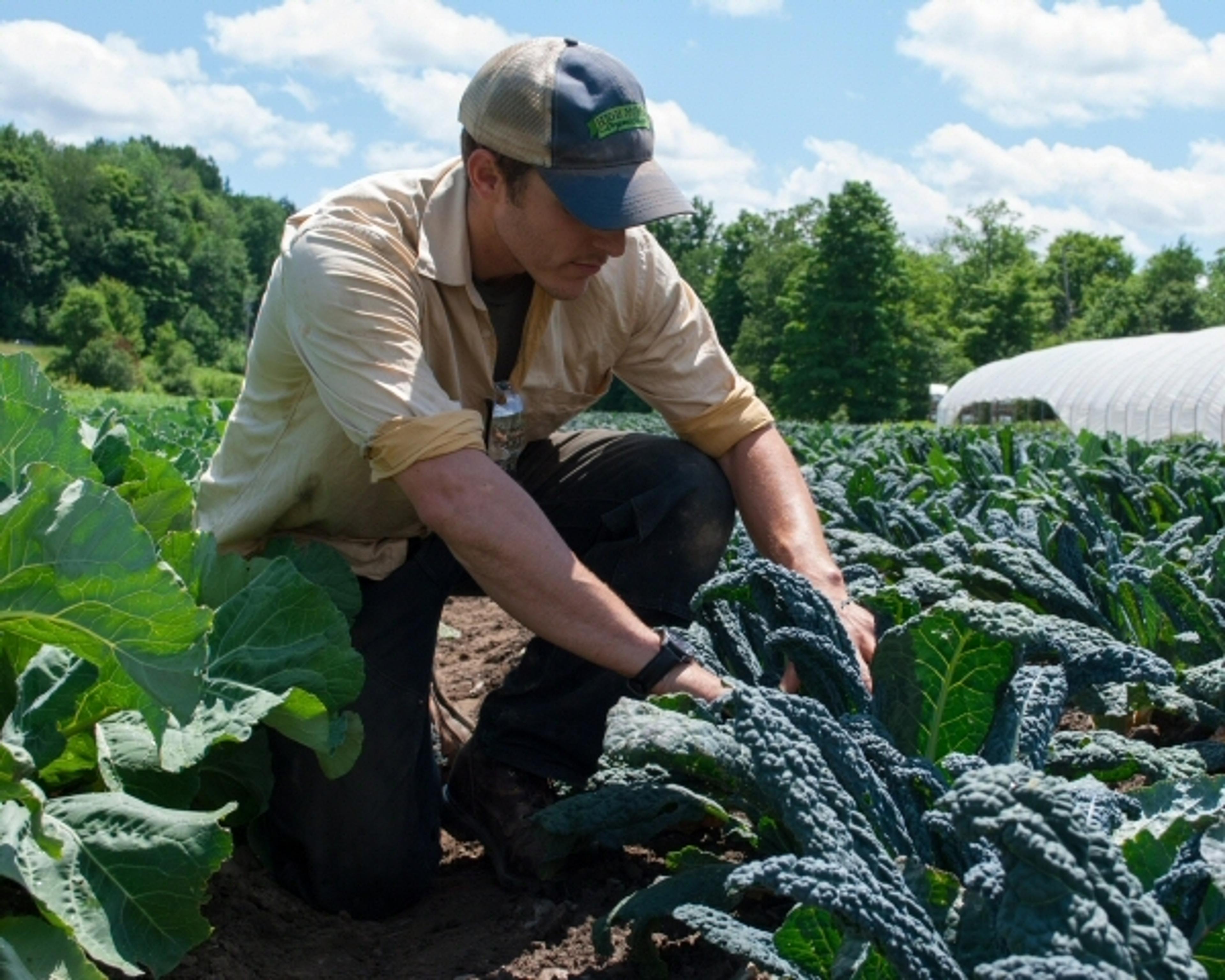 Image from Farm to People