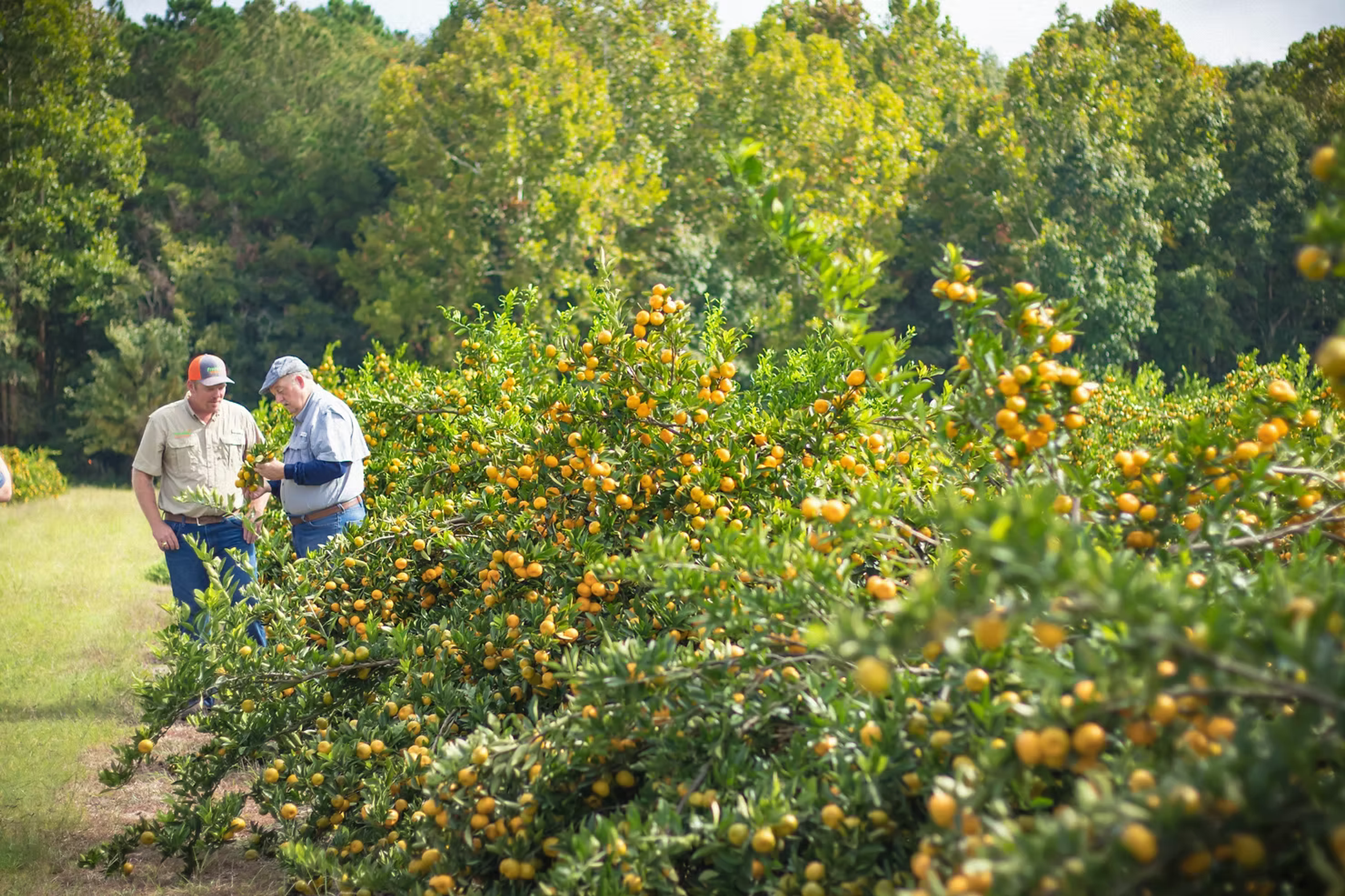 Image from Farm to People