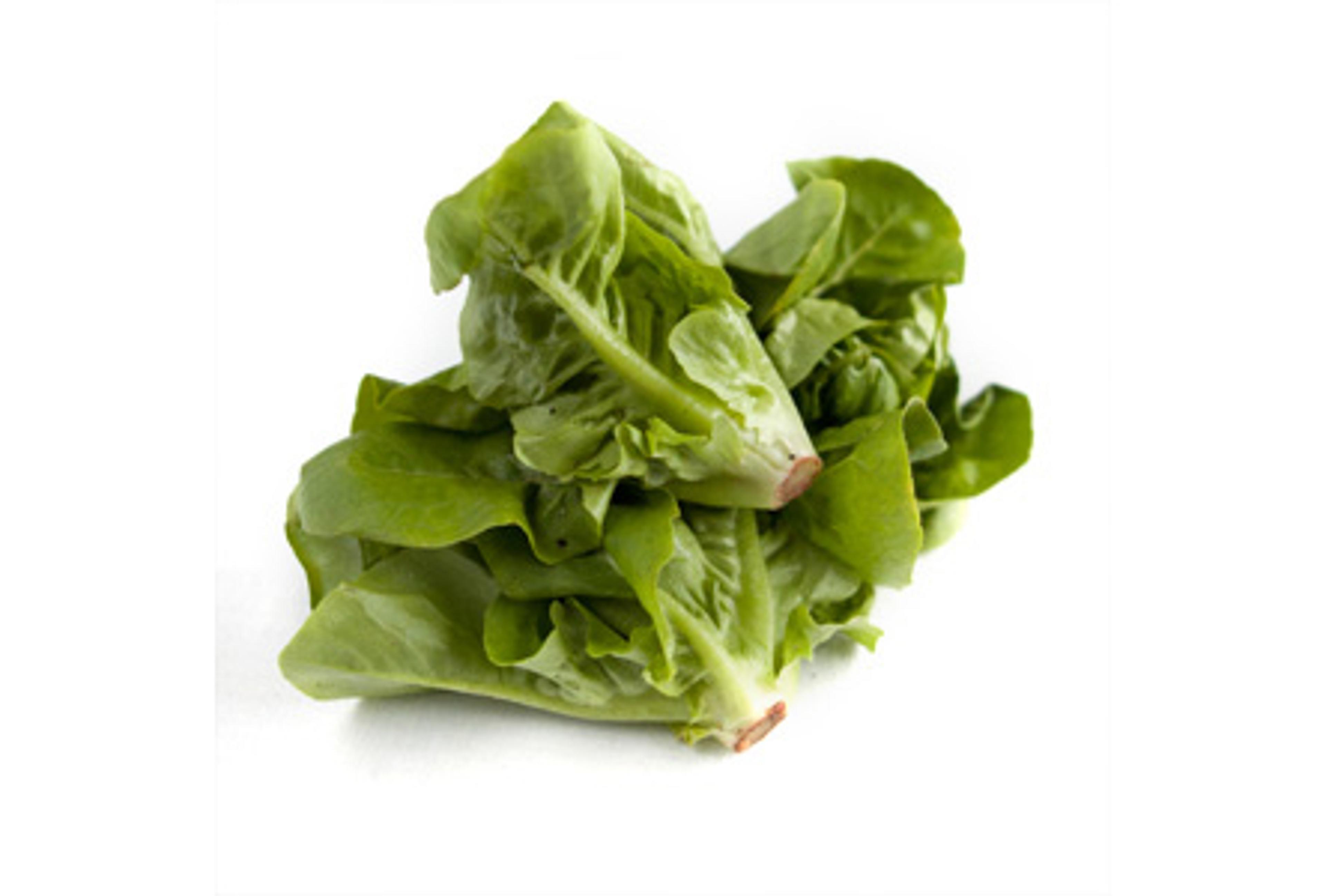 Image from Farm to People