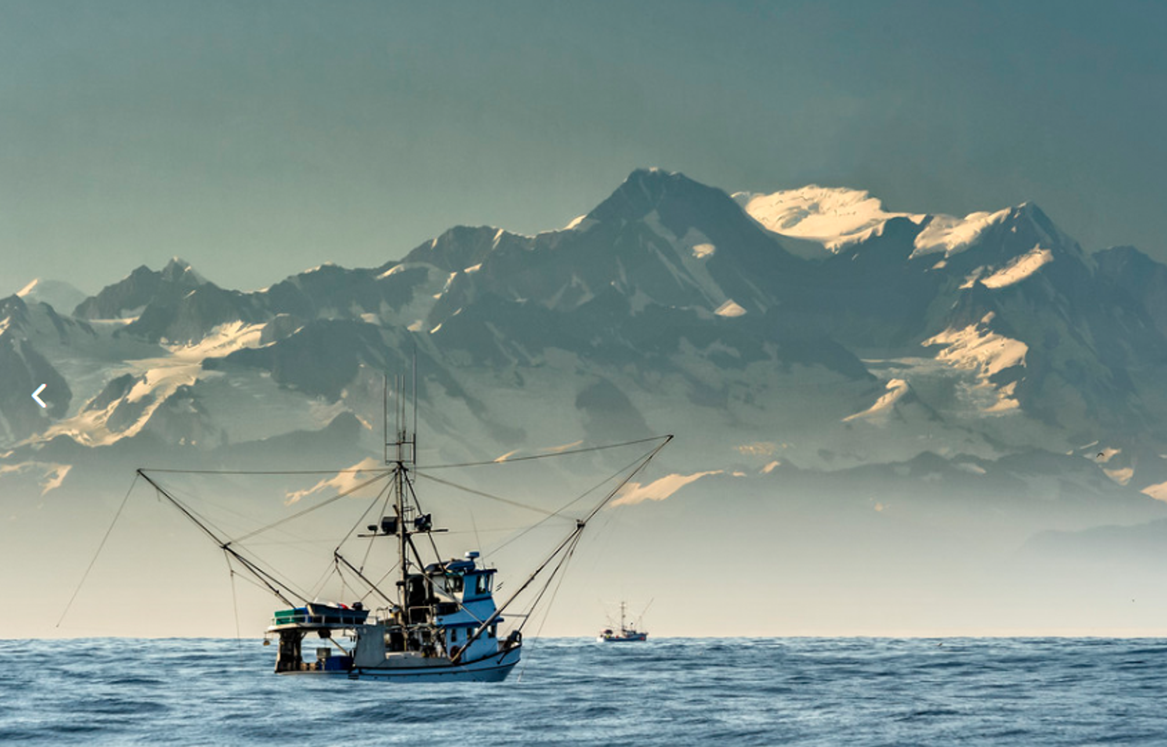 Image from Farm to People