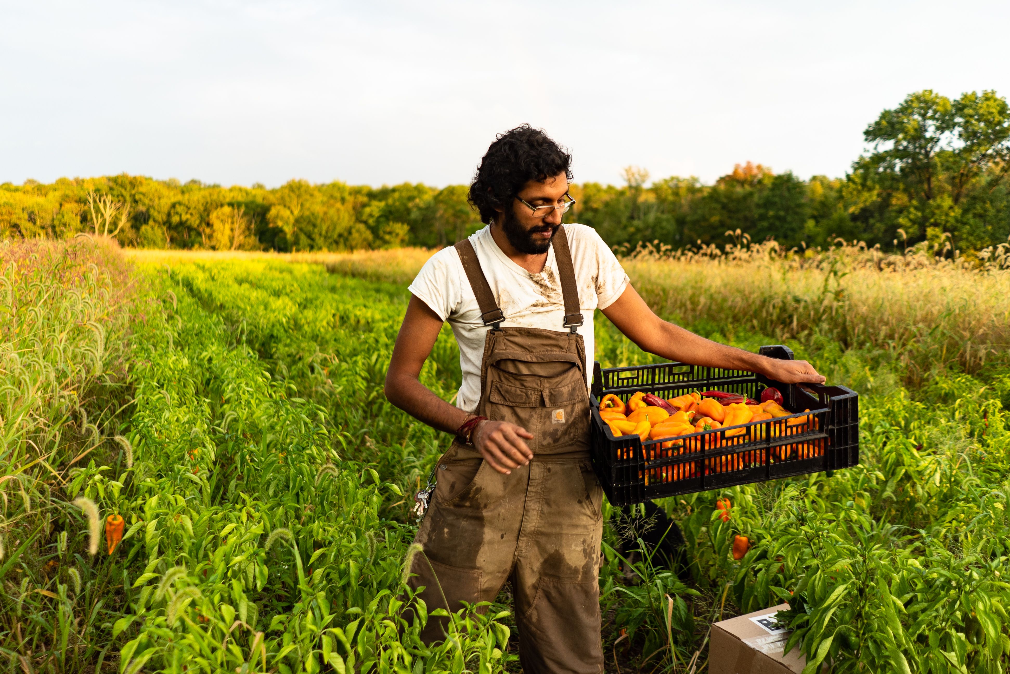 Farm deals food delivery