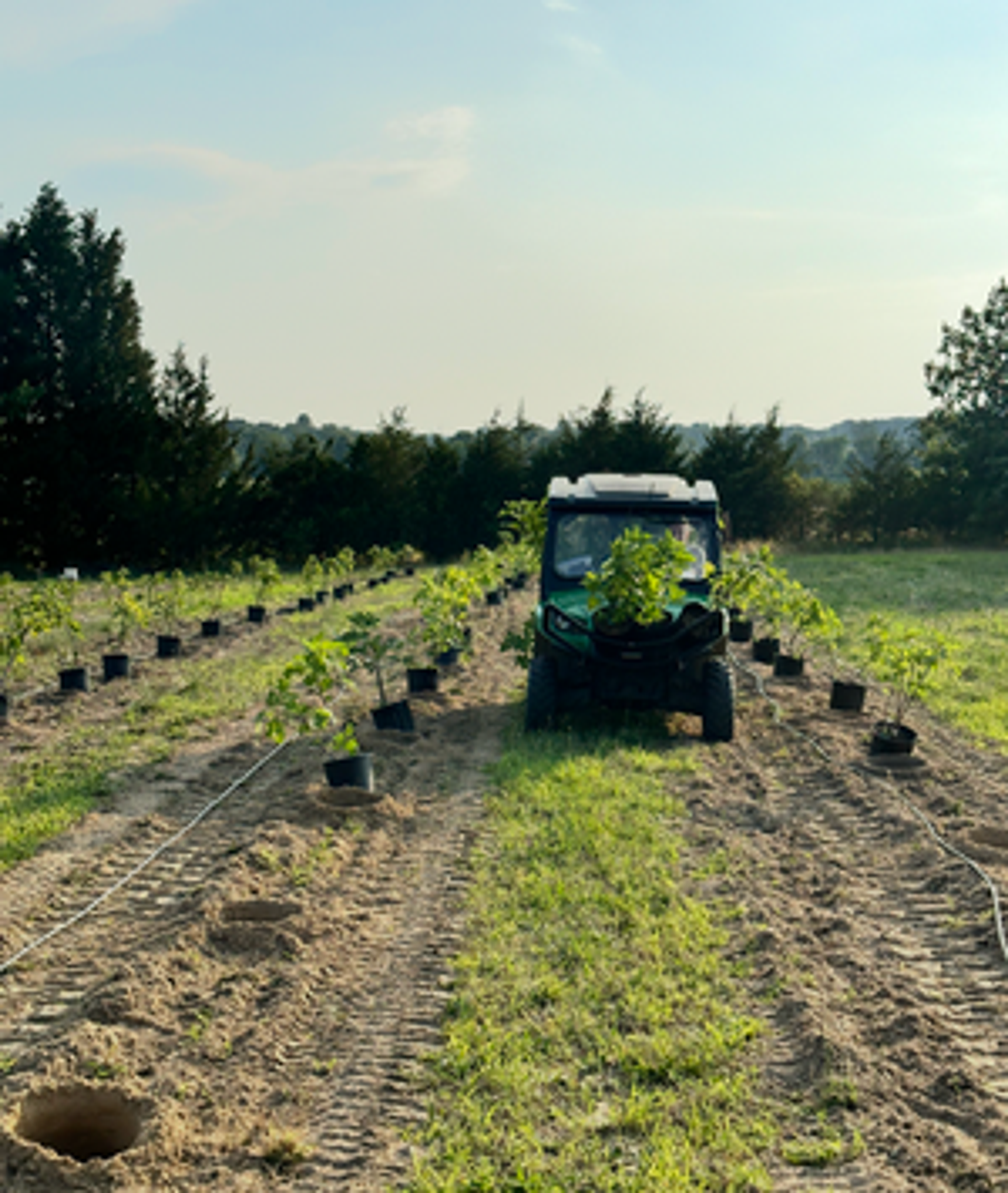 Image from Farm to People