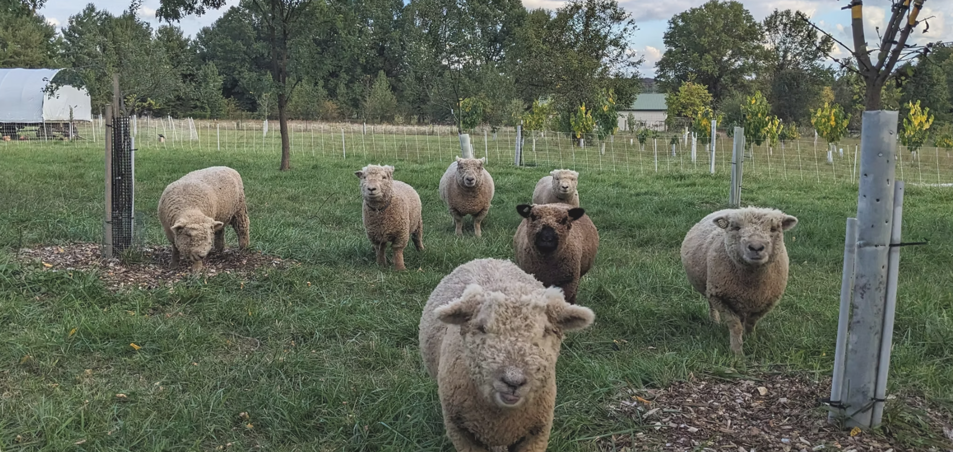 Image from Farm to People