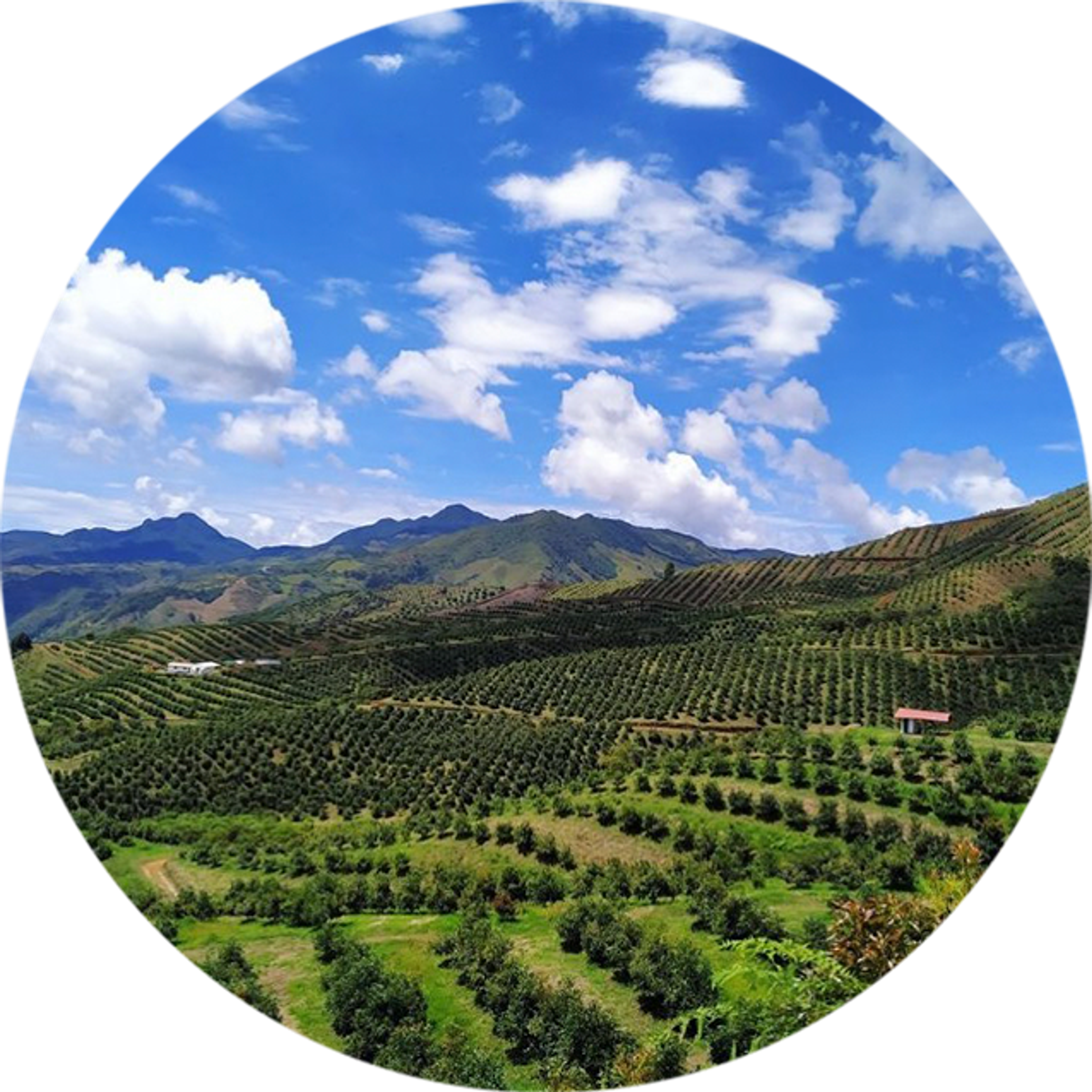 Image from Farm to People