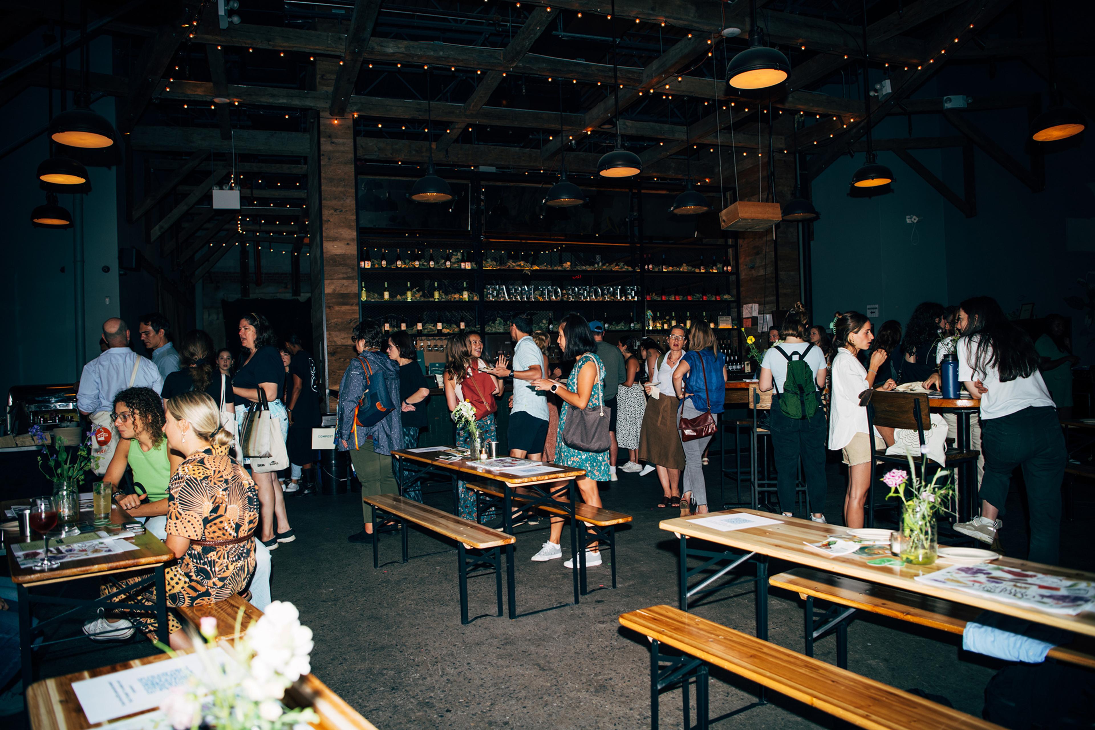 Natural Wine and Live Music