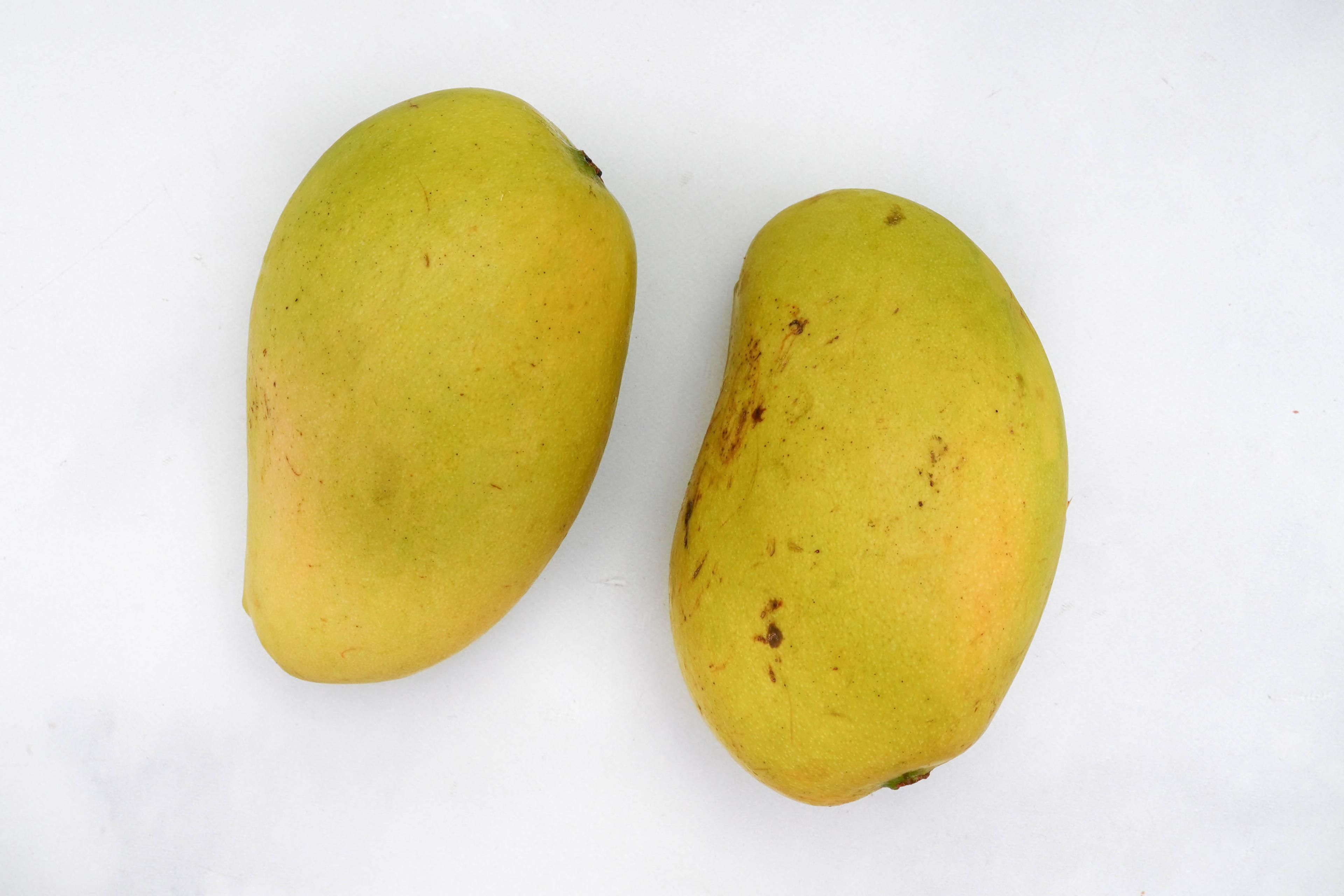 Image from Farm to People