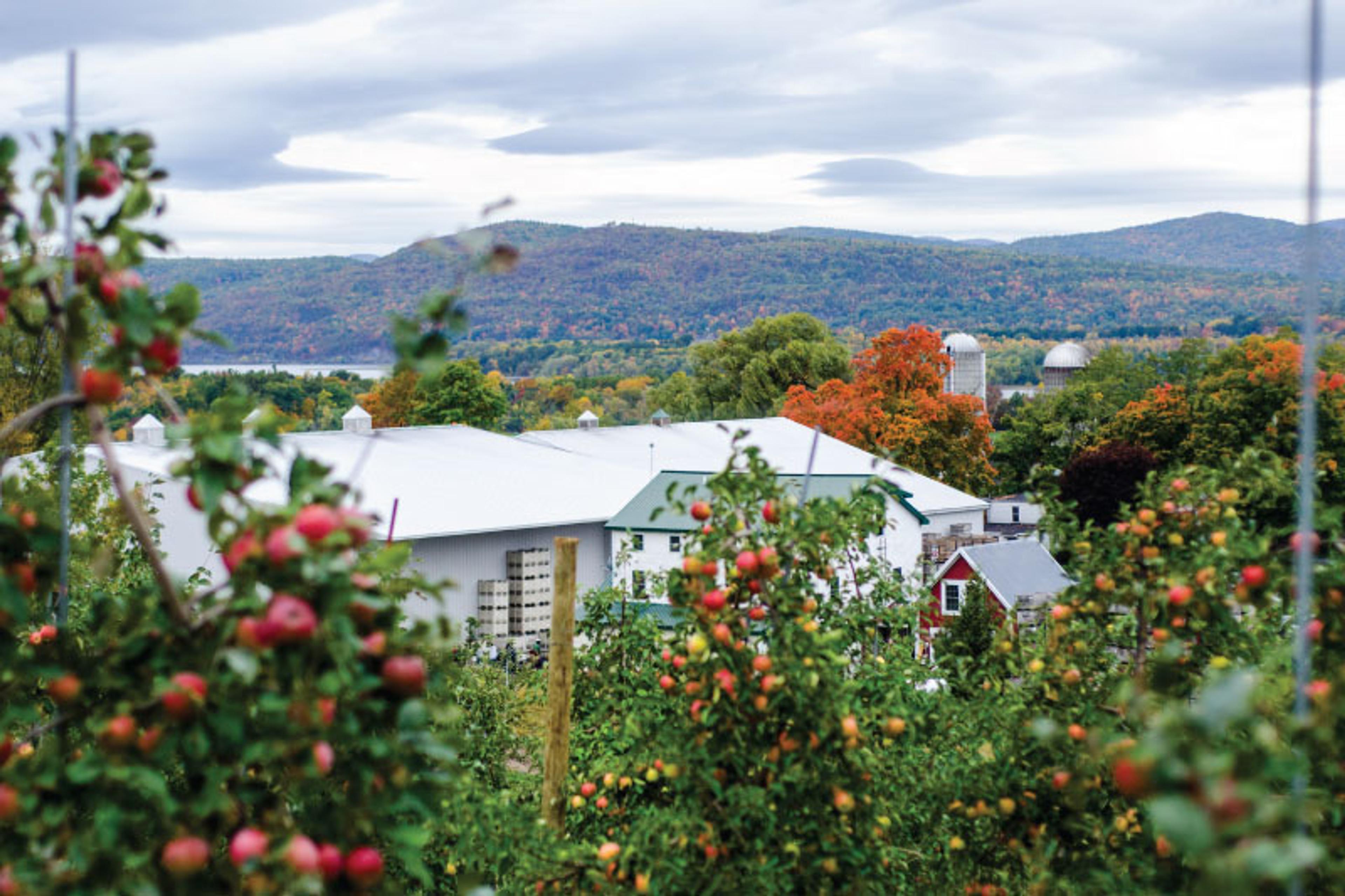 Image from Farm to People