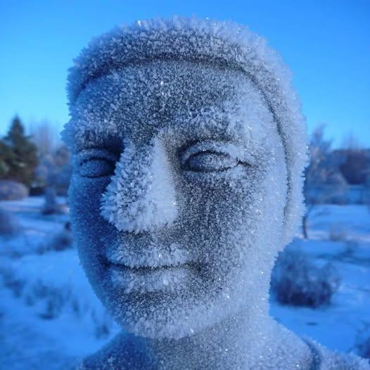 Á heimleið