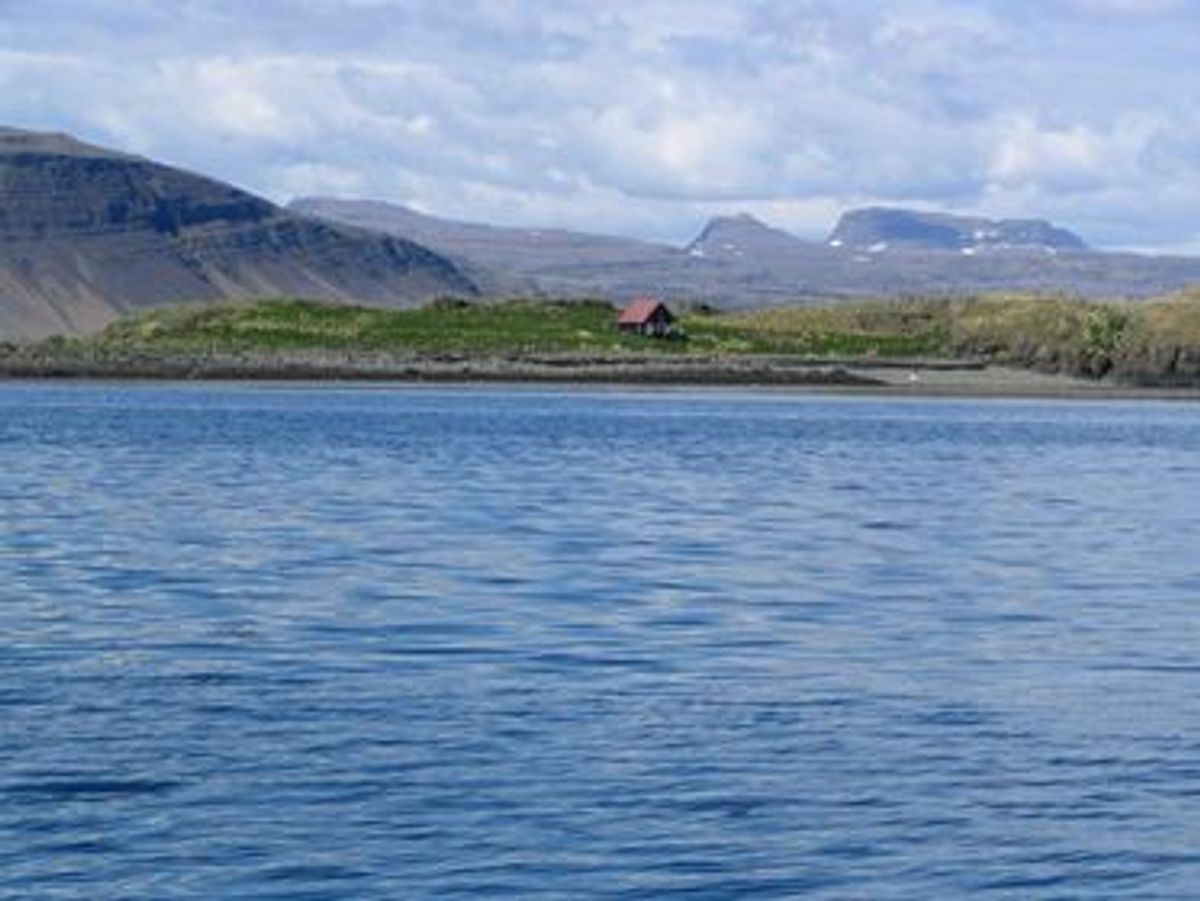 Sauðeyjar in westfjords