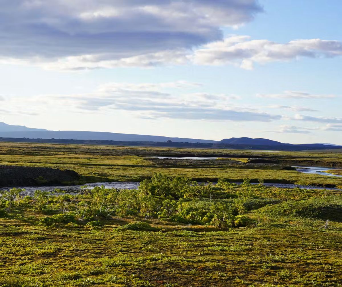 Hvannalindir in highlands