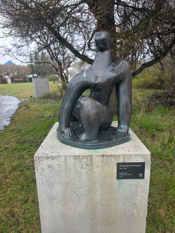 Gólfþvottur