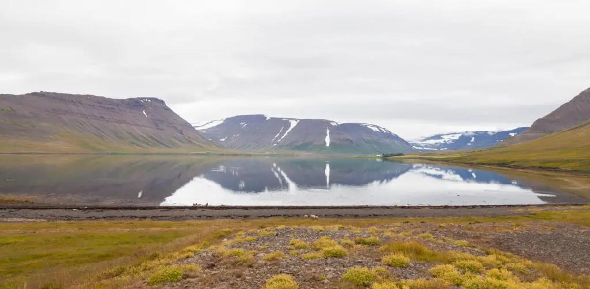 Syðra Lón in north-iceland
