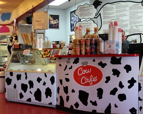 Café Cow - Akureyri
