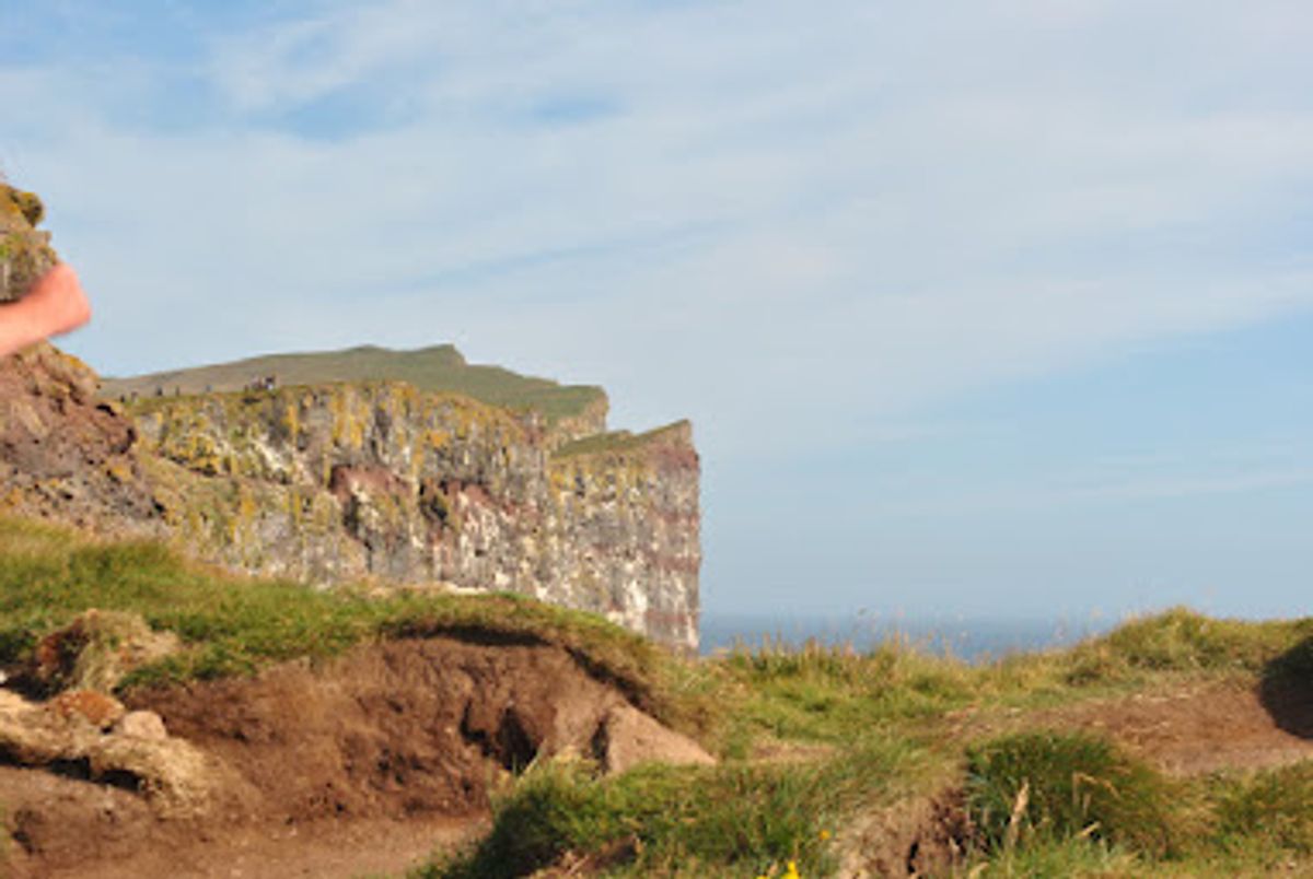 Acantilado de Látrabjarg y Frailecillos in westfjords — photo 5