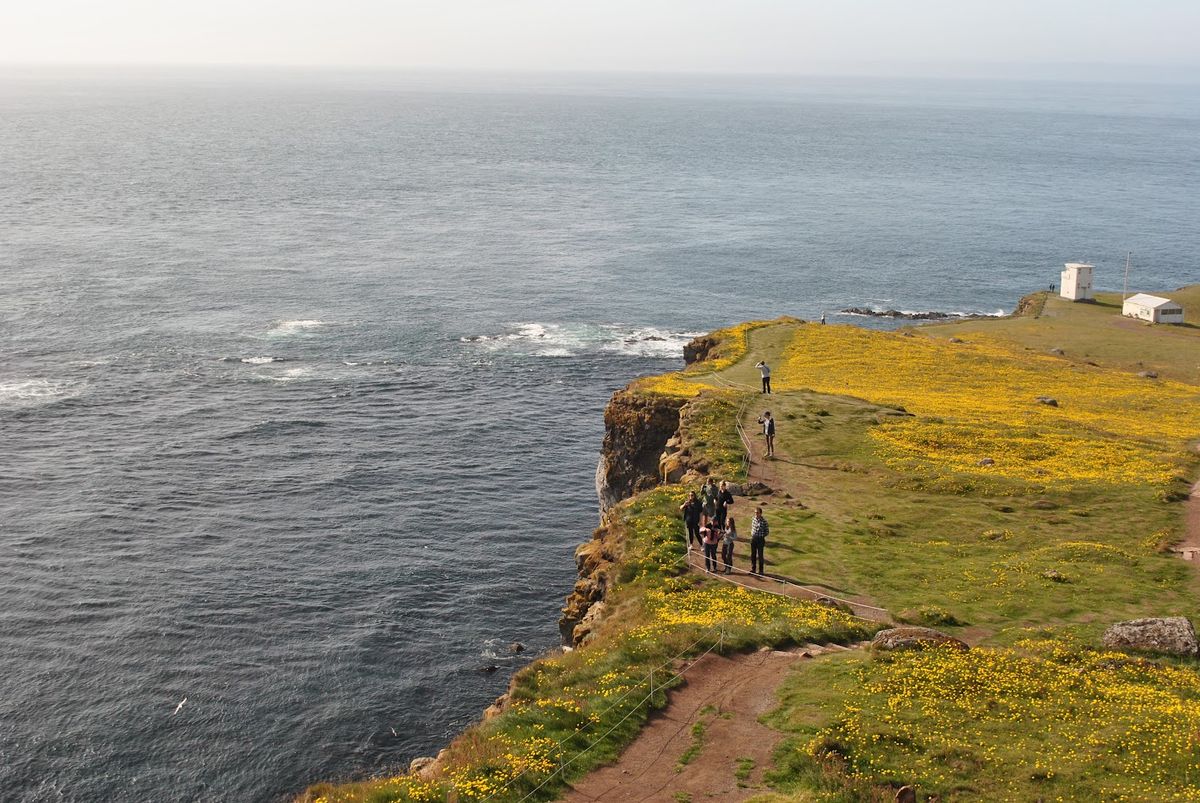 Acantilado de Látrabjarg y Frailecillos in westfjords — photo 7