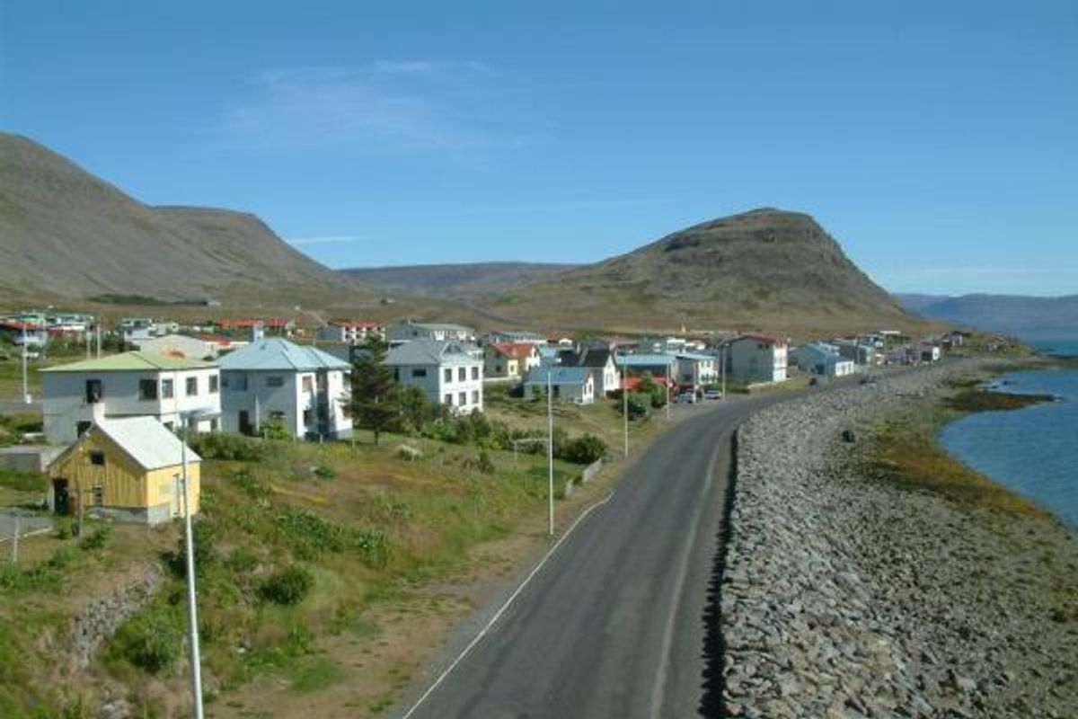 Patreksfjörður in westfjords — photo 3