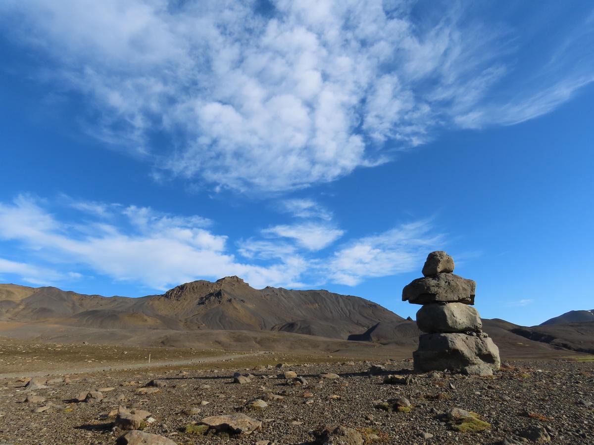 Nálhúshnjúkar