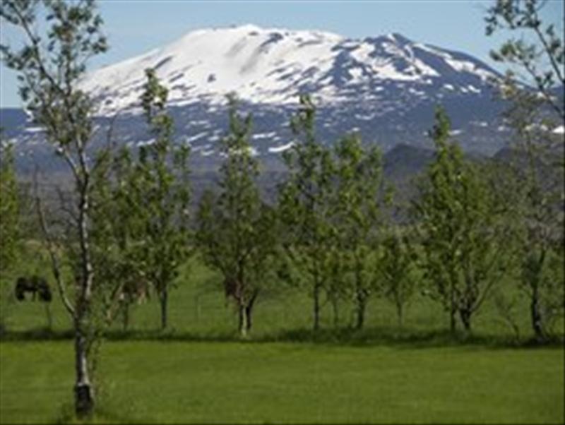 Leirubakki Campsite (við Heklu)