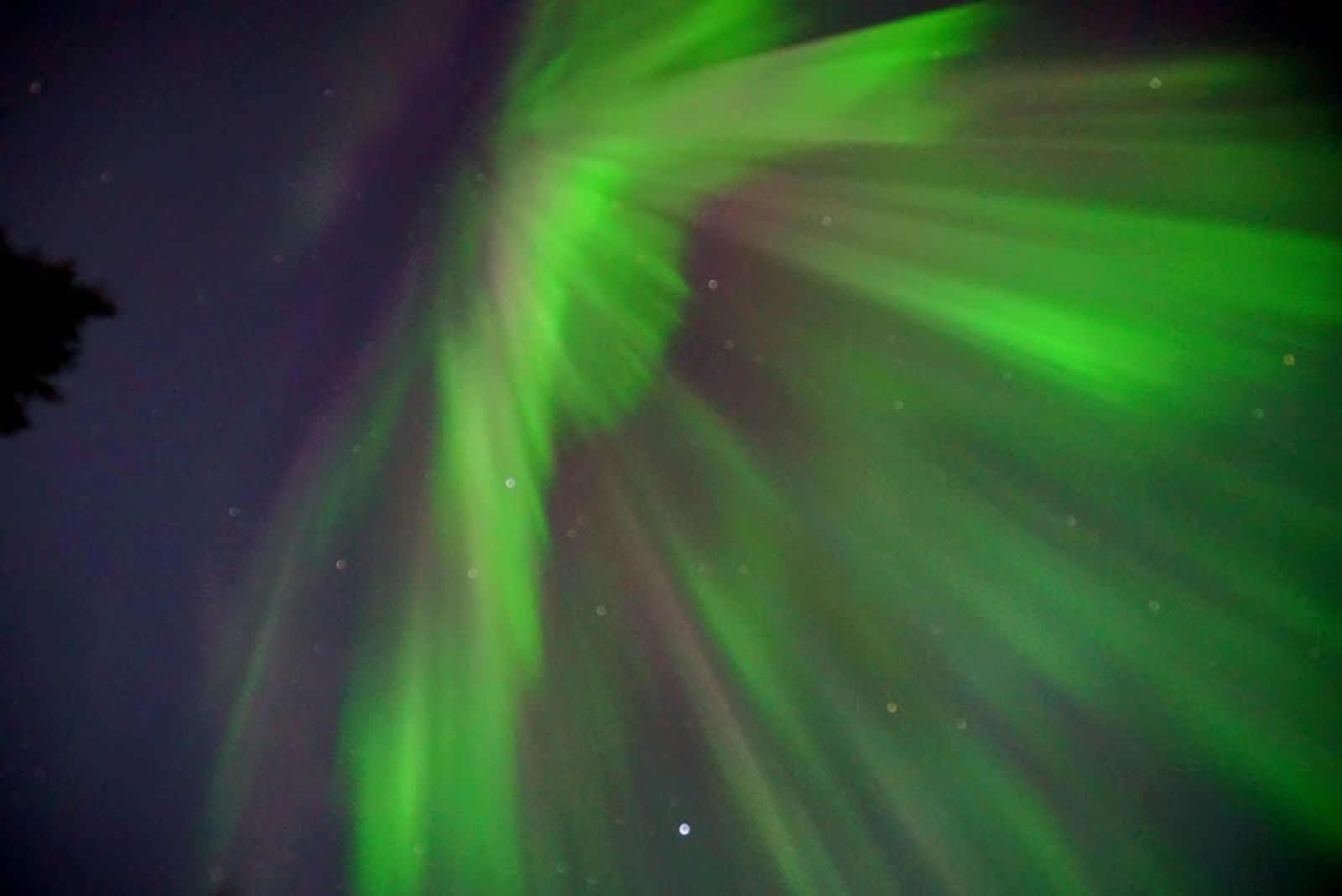 Northern Lights dancing over Iceland's landscape