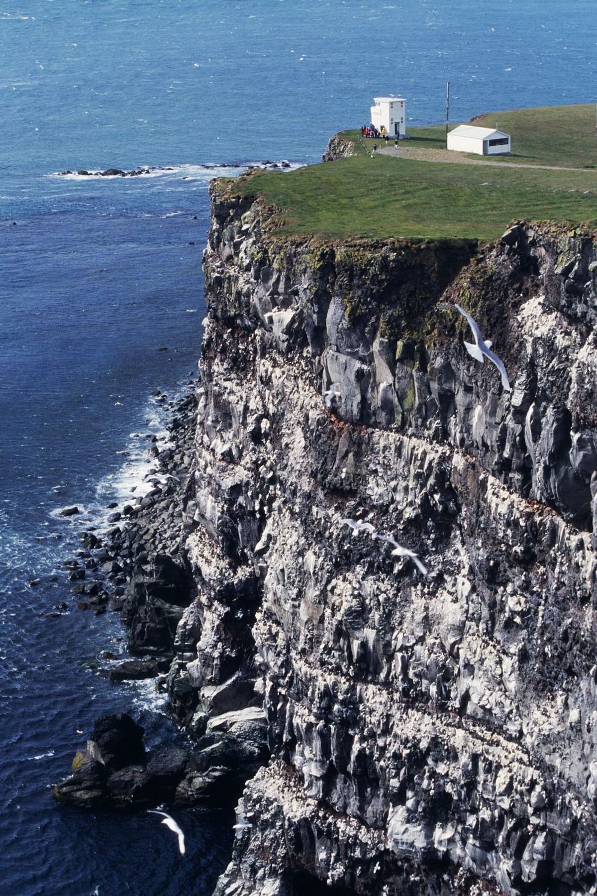 拉特拉比亚格——天涯鸟崖 in westfjords — photo 2