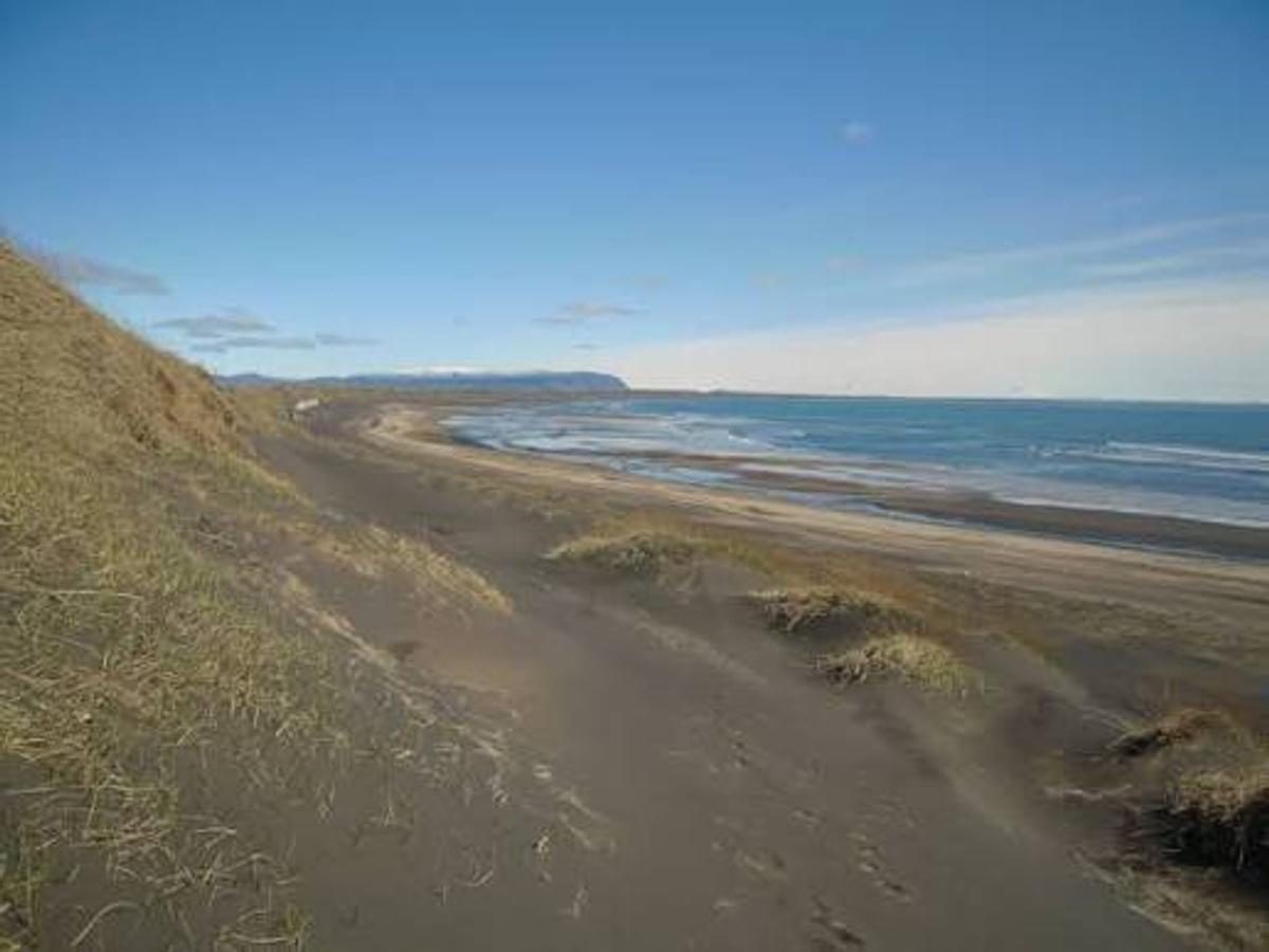 Skötubót in south-iceland