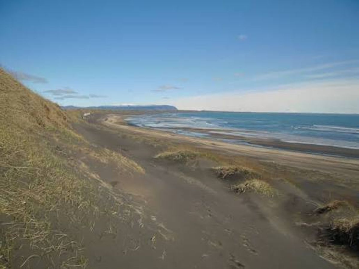 Playa Skötubót in south-iceland