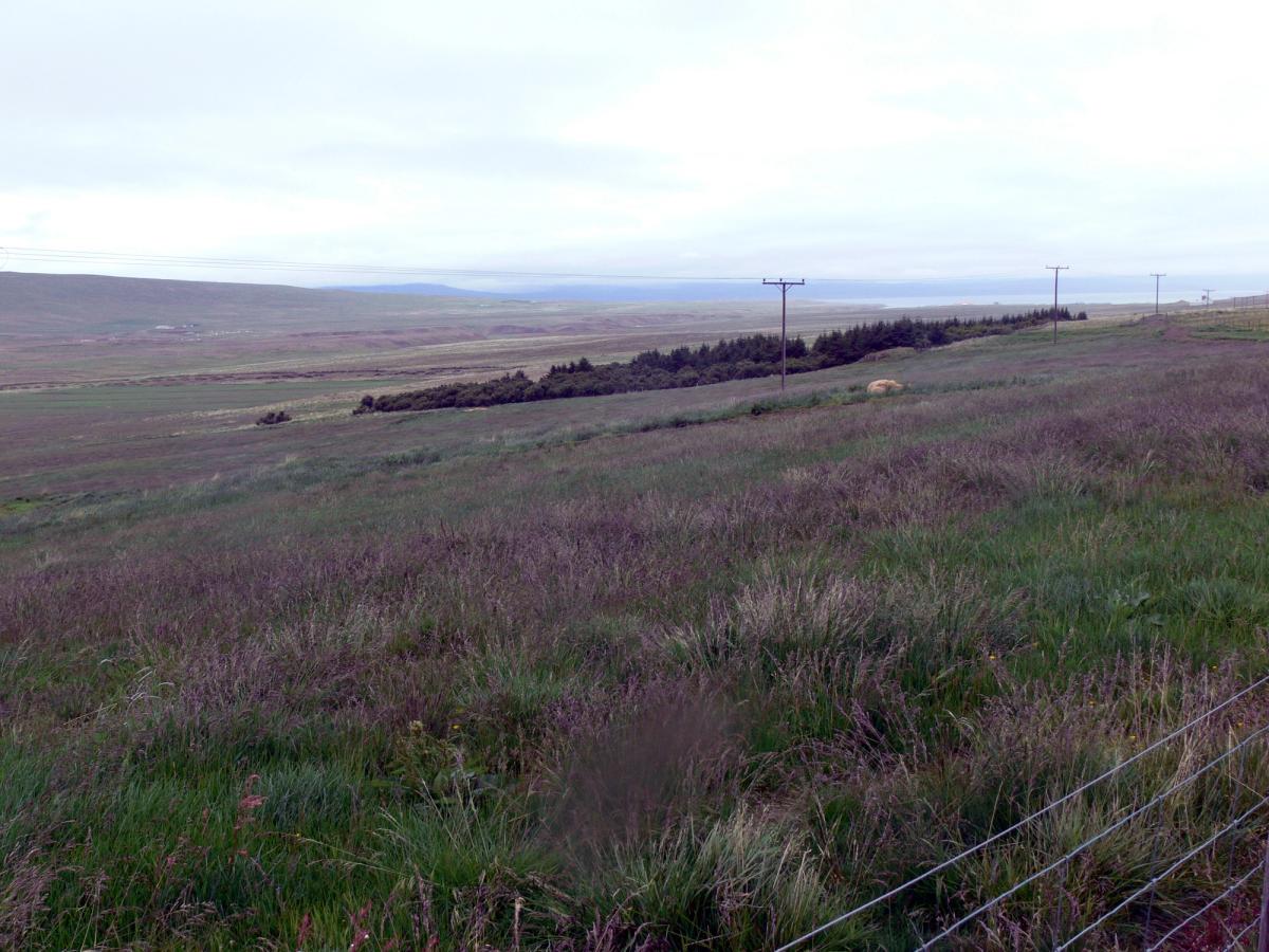 Laxárdalur
