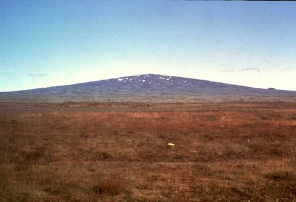 Kjalhraun Shield Volcano in highlands — photo 3