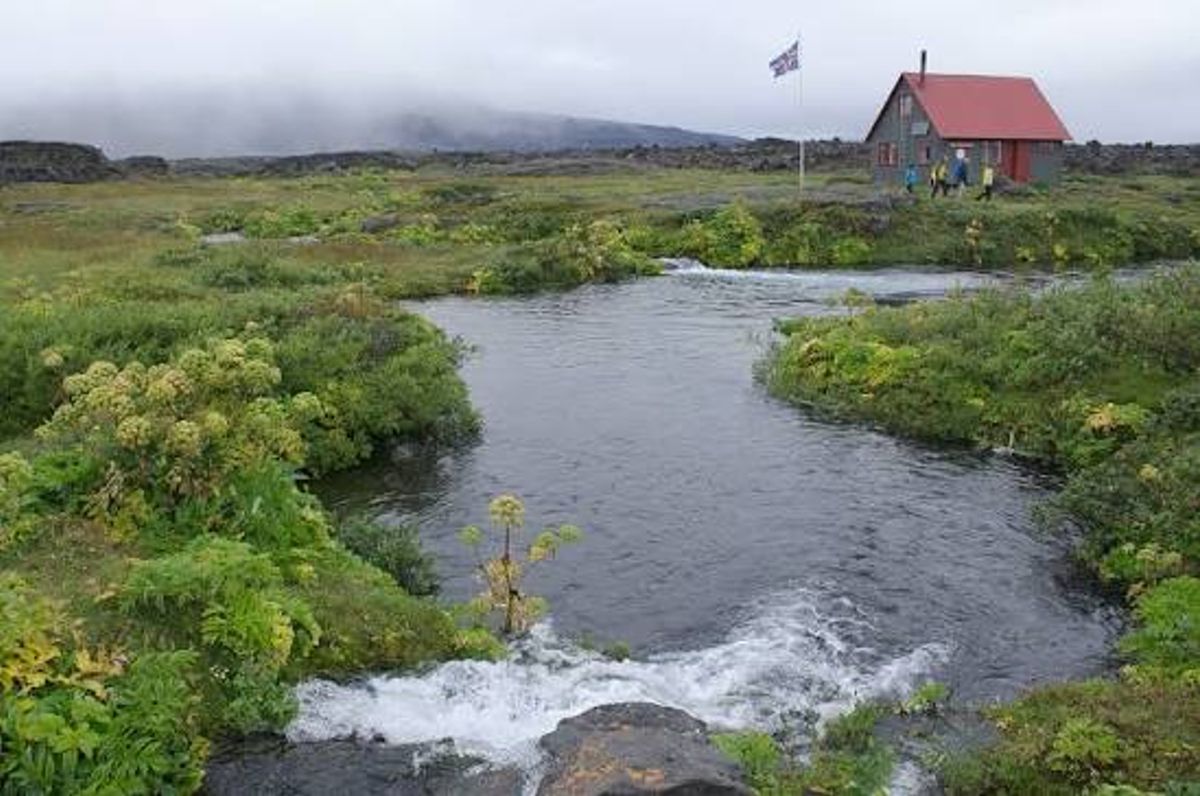 Herðubreiðarlindir in highlands — photo 1