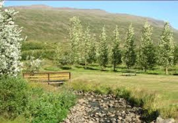 Fáskrúðsfjörður Campsite