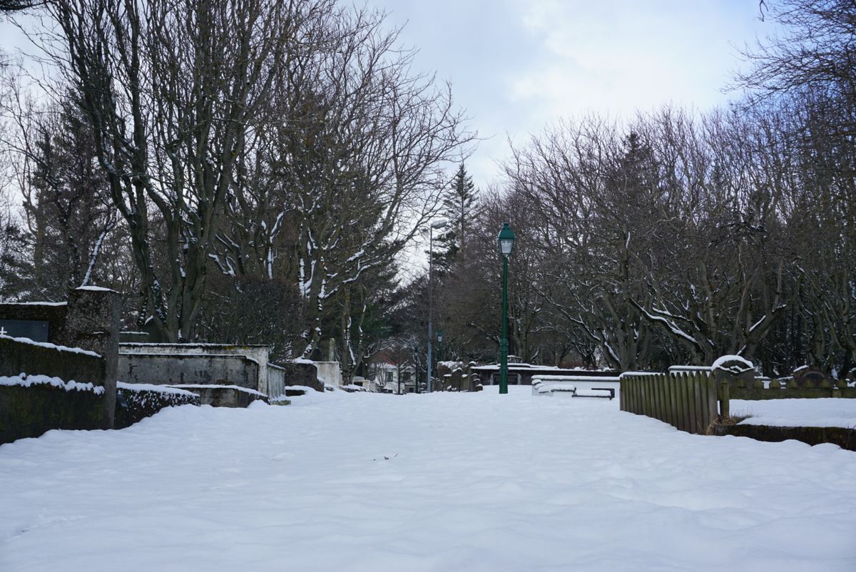 Hólavallagarður Cemetery photo 4